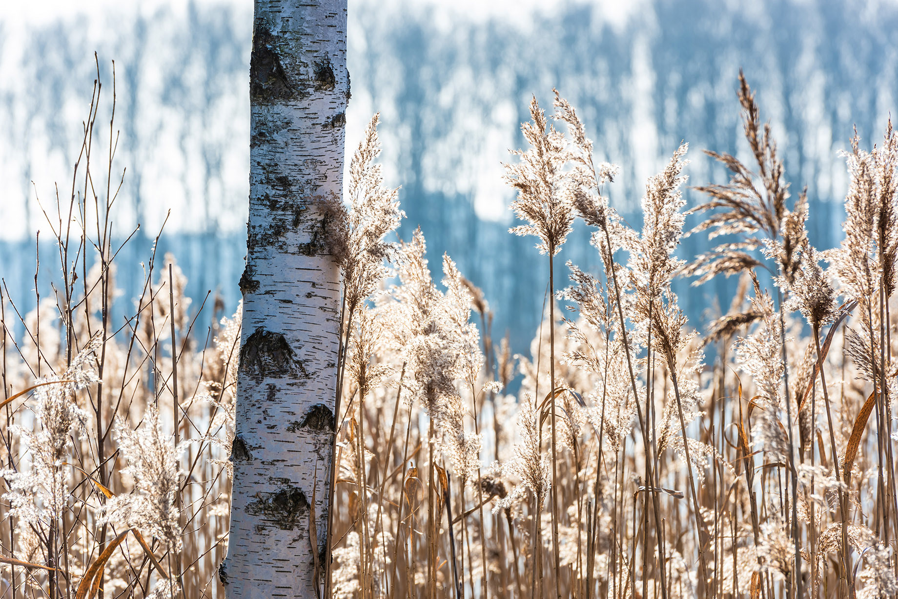 Fotomotiva Weranda Home rezydencja Sławica residence 14