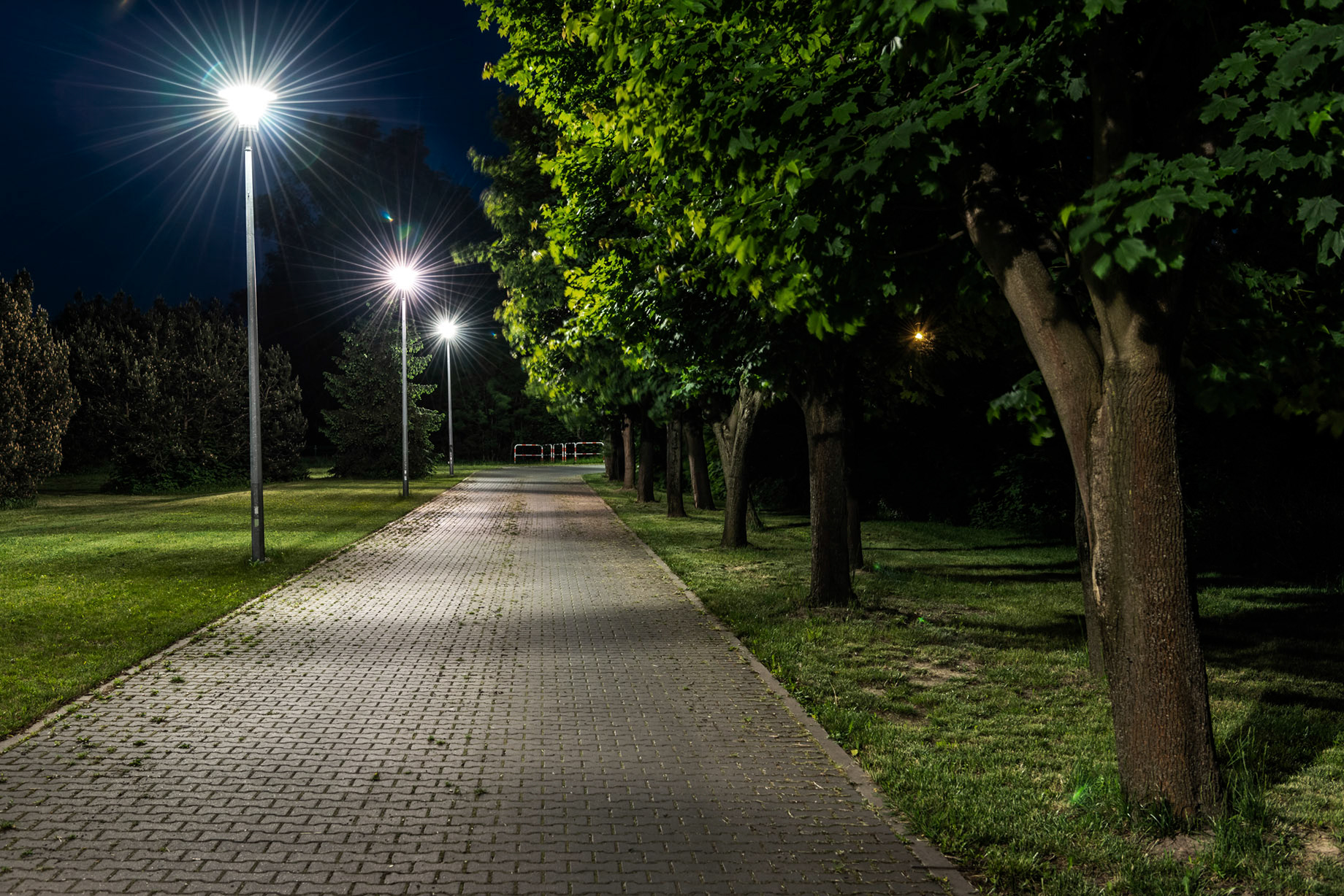 Fotomotiva SKwP aleja przez park w nocy