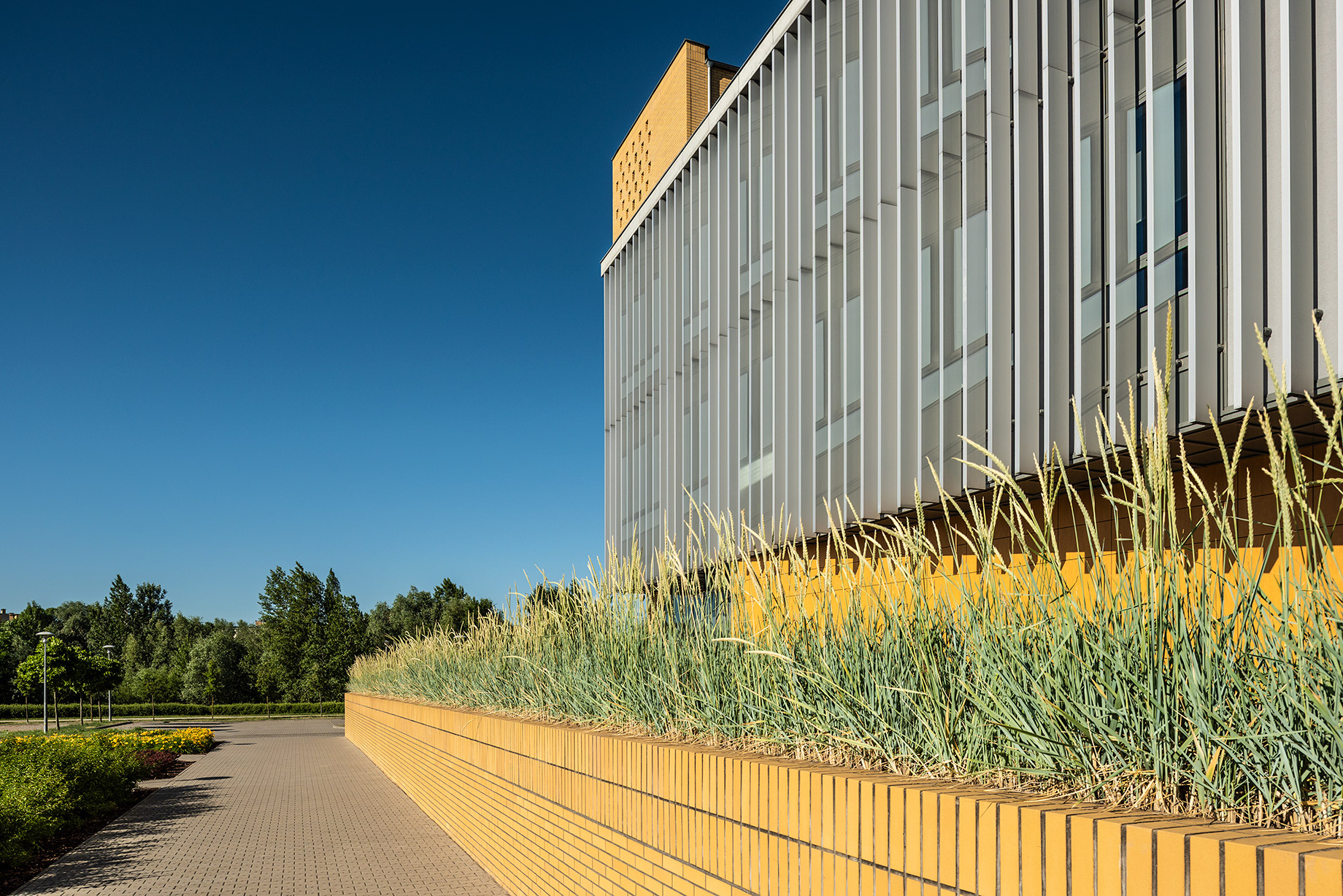 Fotomotiva wydział historii UAM Kampus Morasko Poznań faculty of historical AMU Campus Morasko Poznan 3