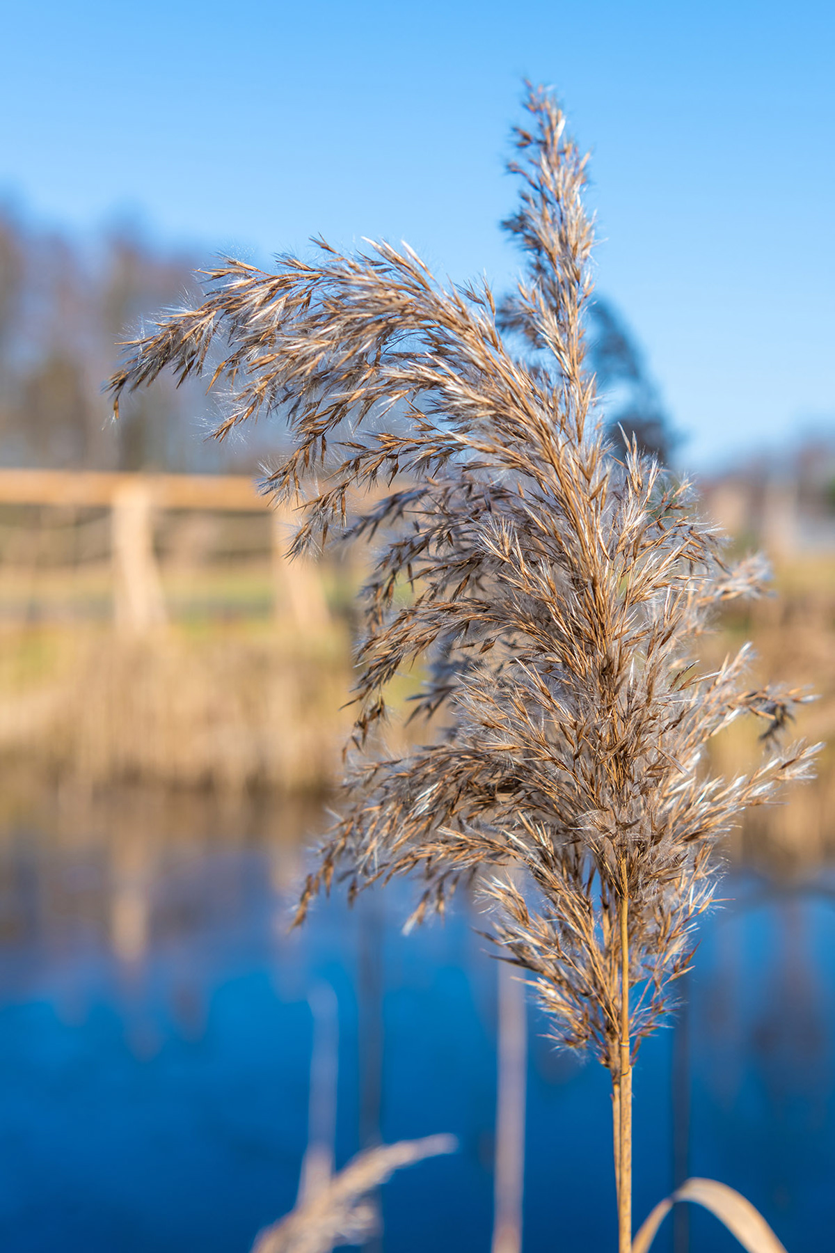 Fotomotiva Weranda Home rezydencja Sławica residence 9