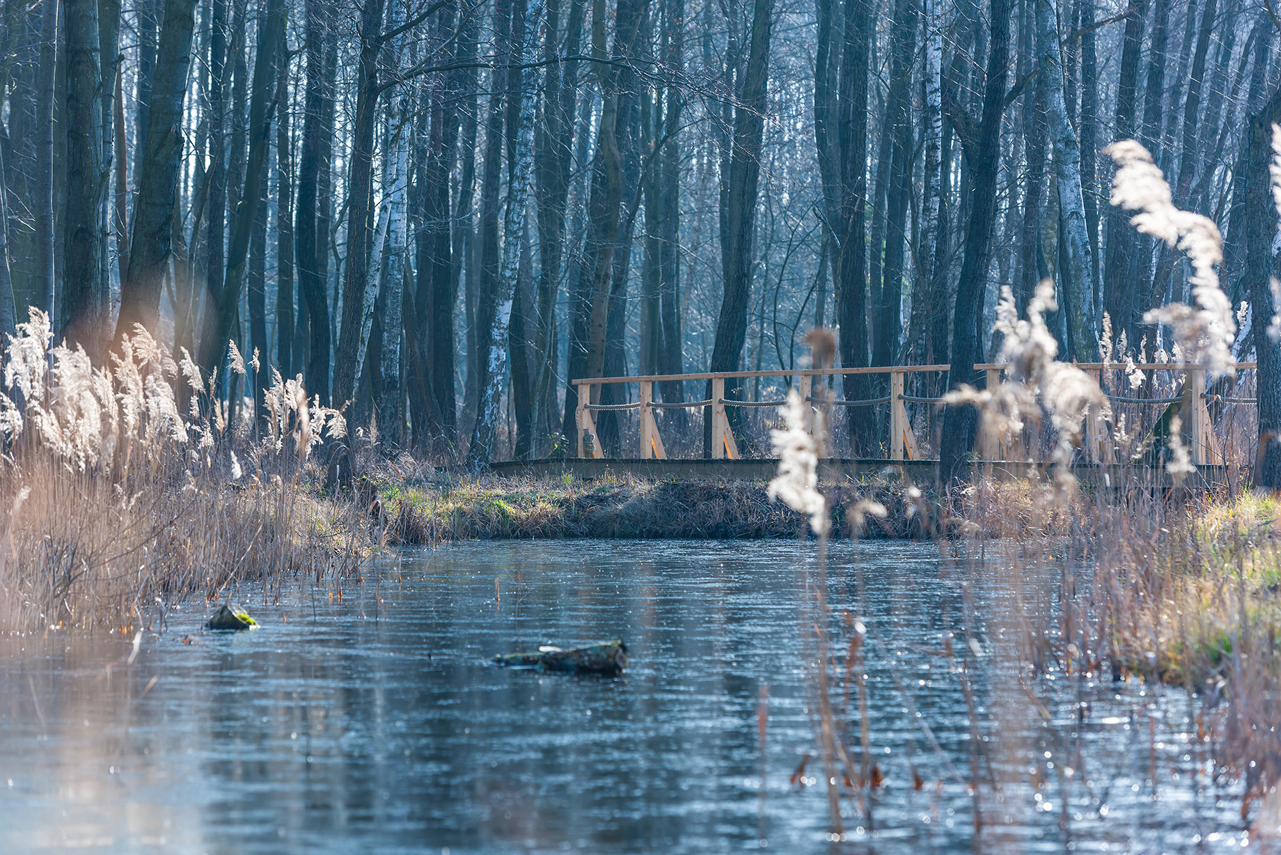 Fotomotiva Weranda Home rezydencja Sławica residence 12