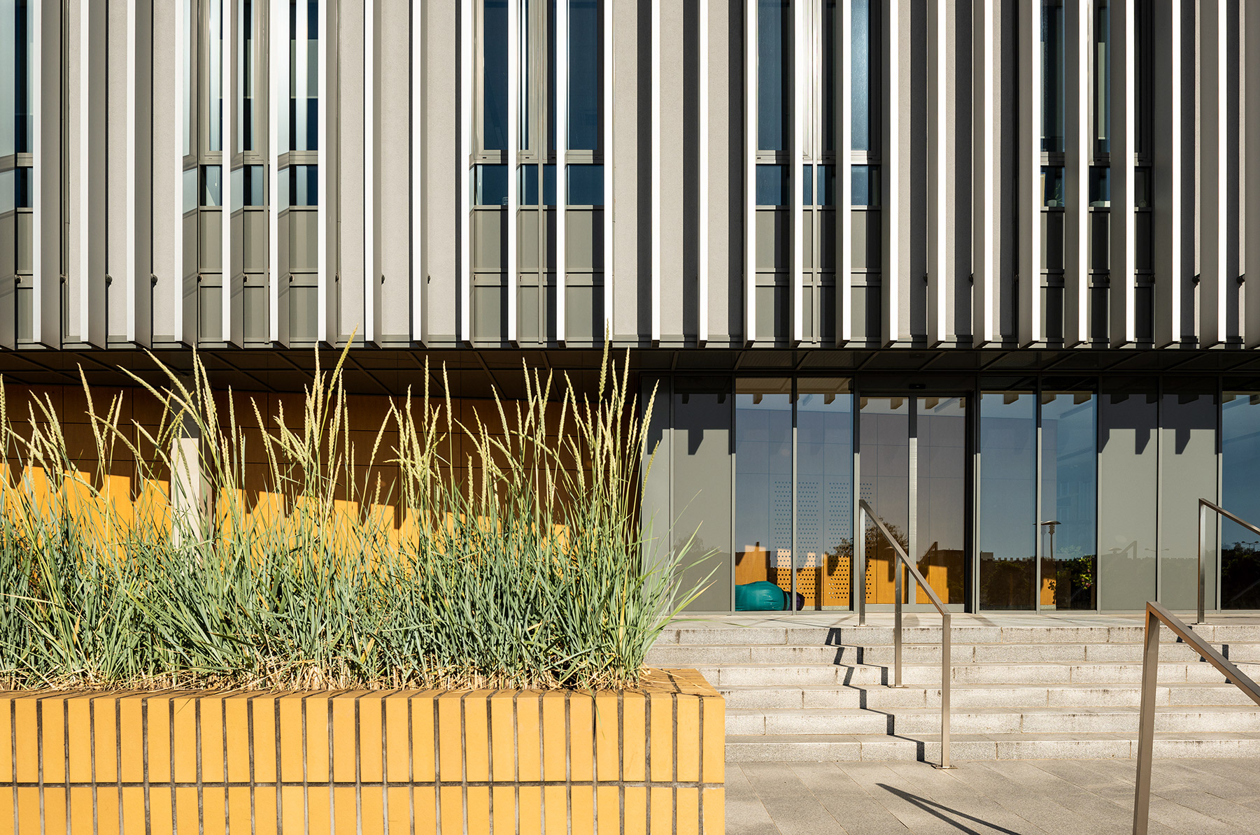 Fotomotiva wydział historii UAM Kampus Morasko Poznań faculty of historical AMU Campus Morasko Poznan 5