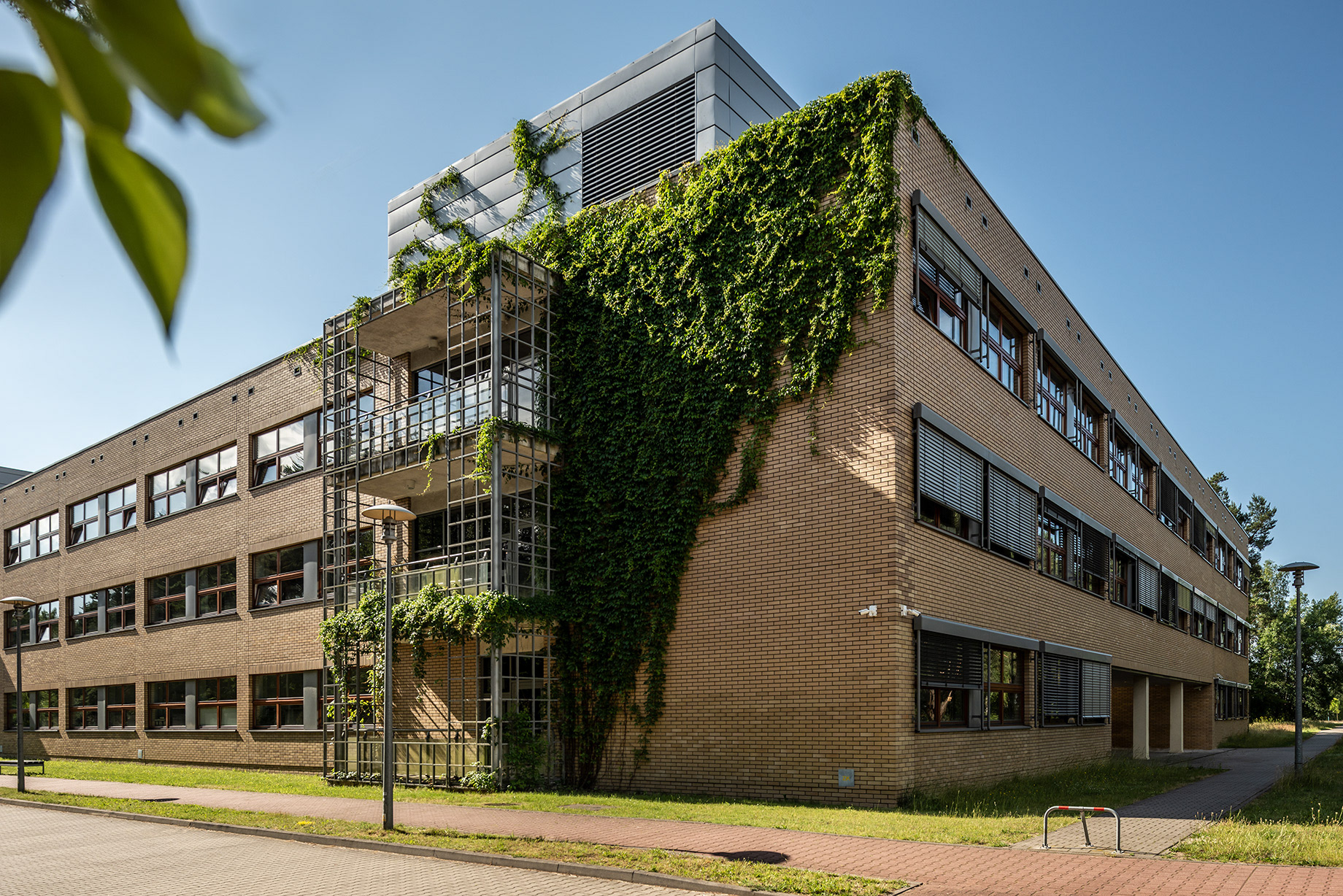 Fotomotiva wydział biologii UAM Kampus Morasko Poznań faculty of biology AMU Campus Morasko Poznan 2