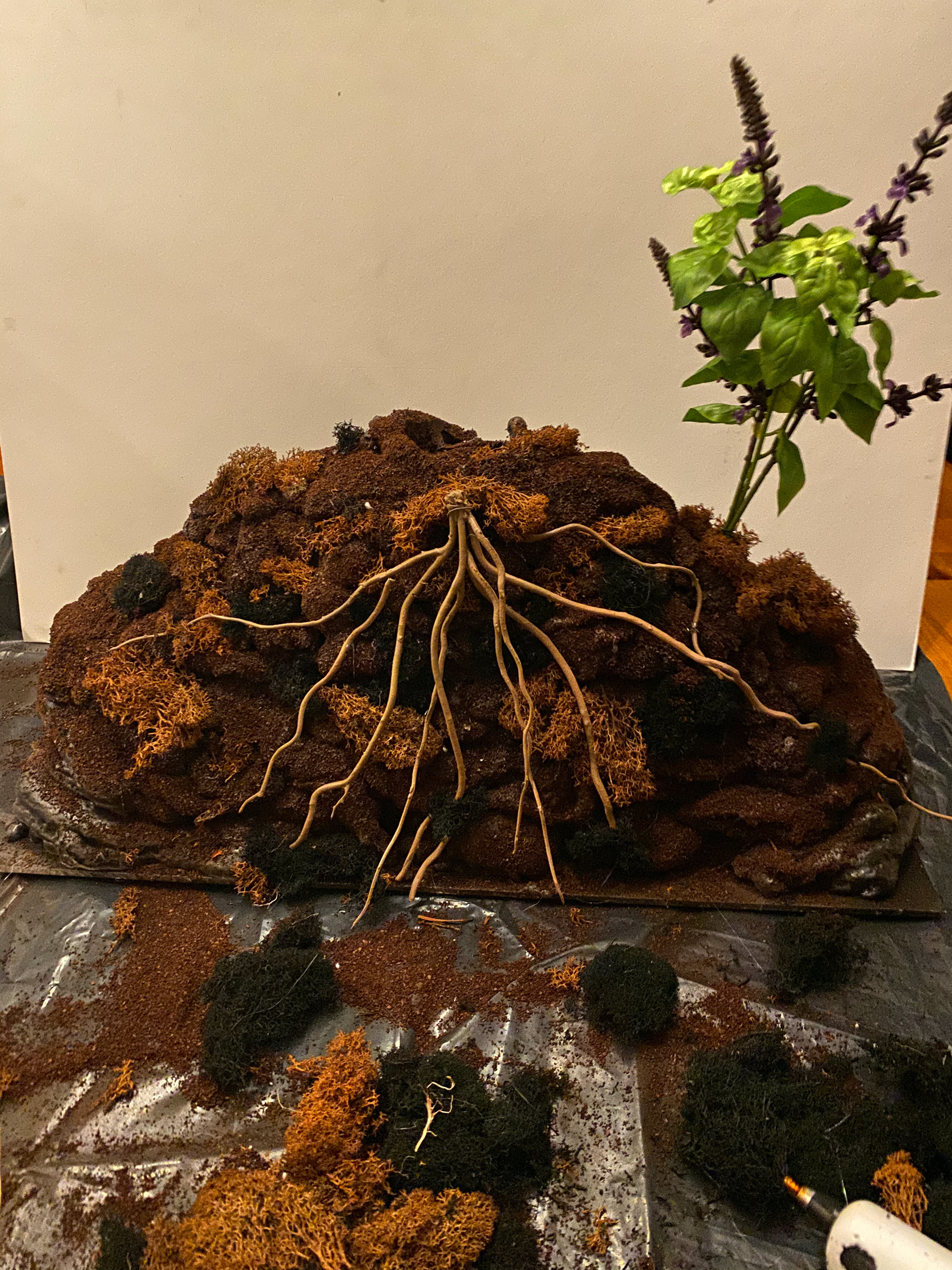Using spray mount, apply coffee grounds