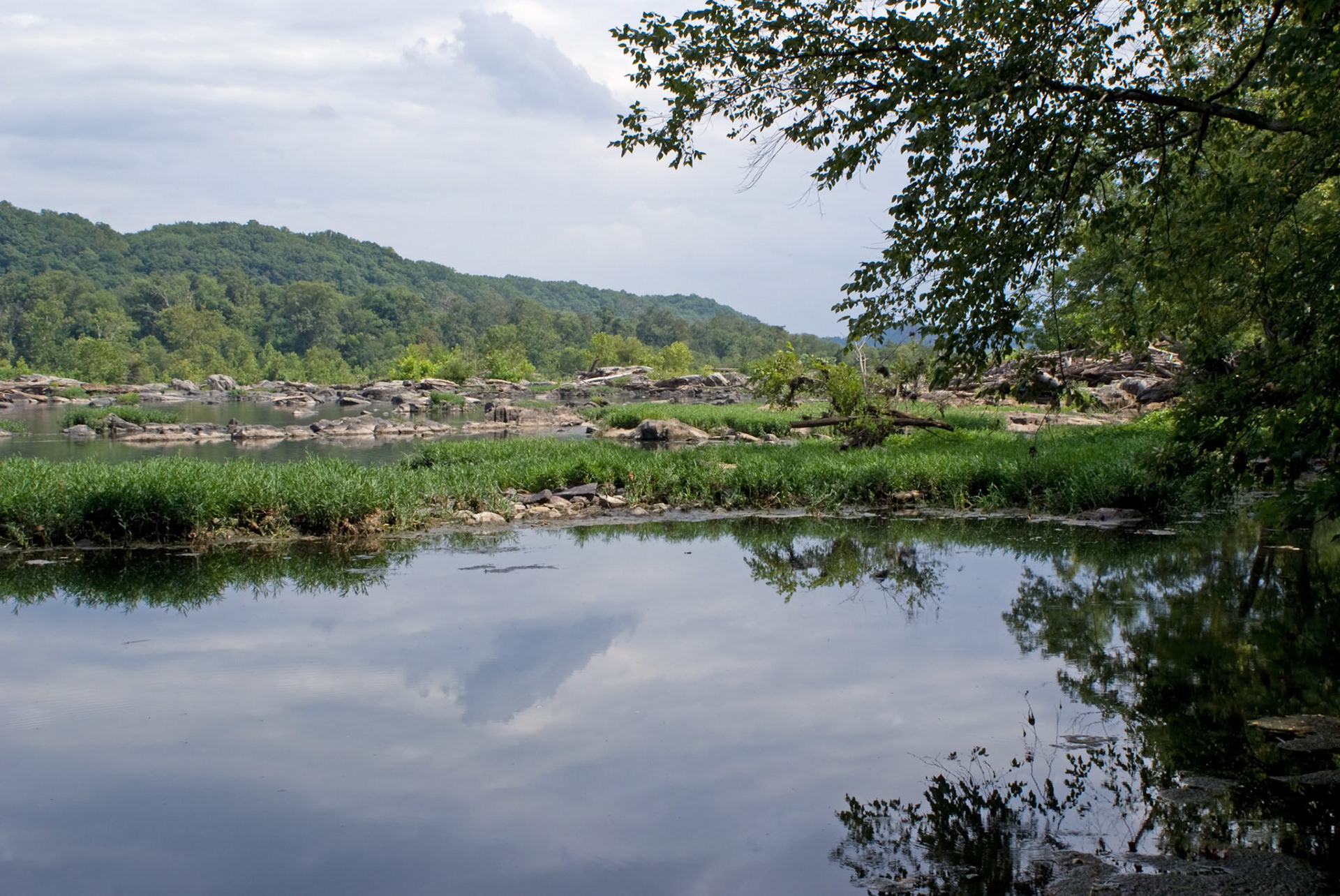 SONY DSC