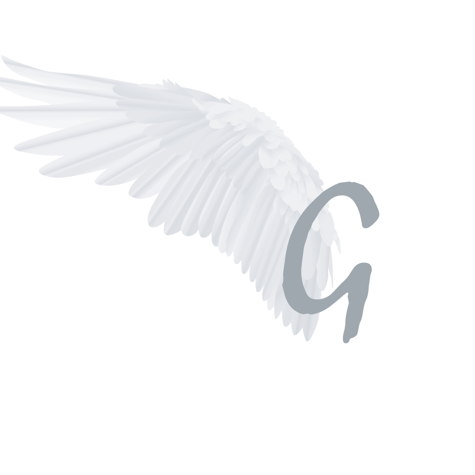 GBRIEL VISION
