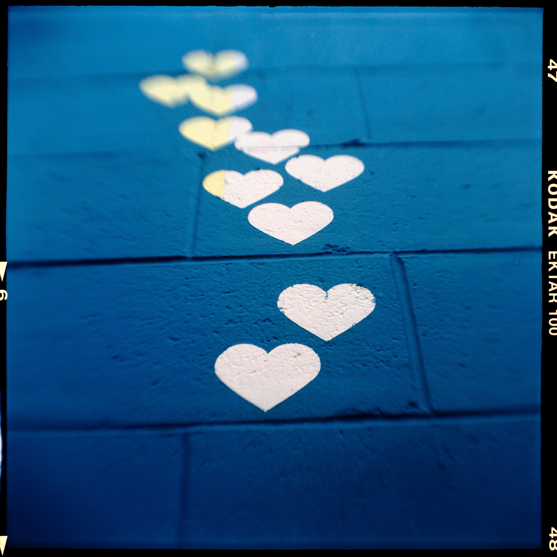 Kodak Brownie | Ektar 100