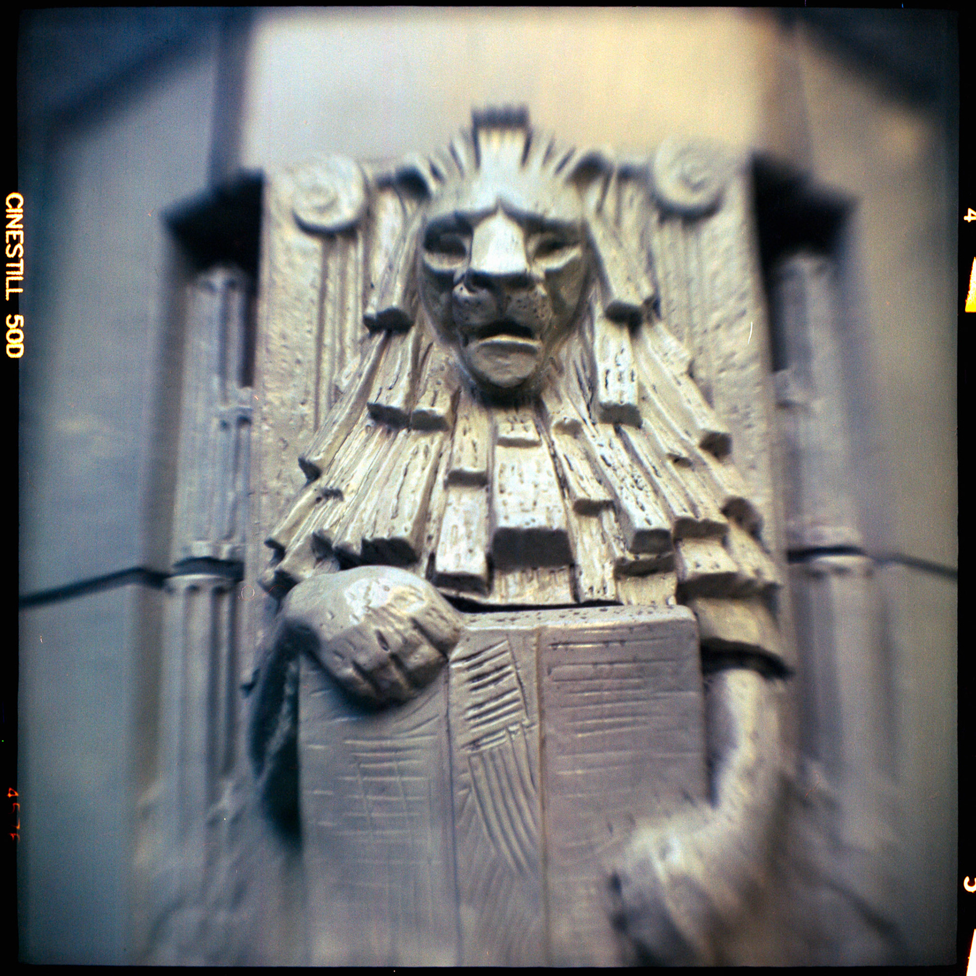 Kodak Brownie | Cinestill 50D