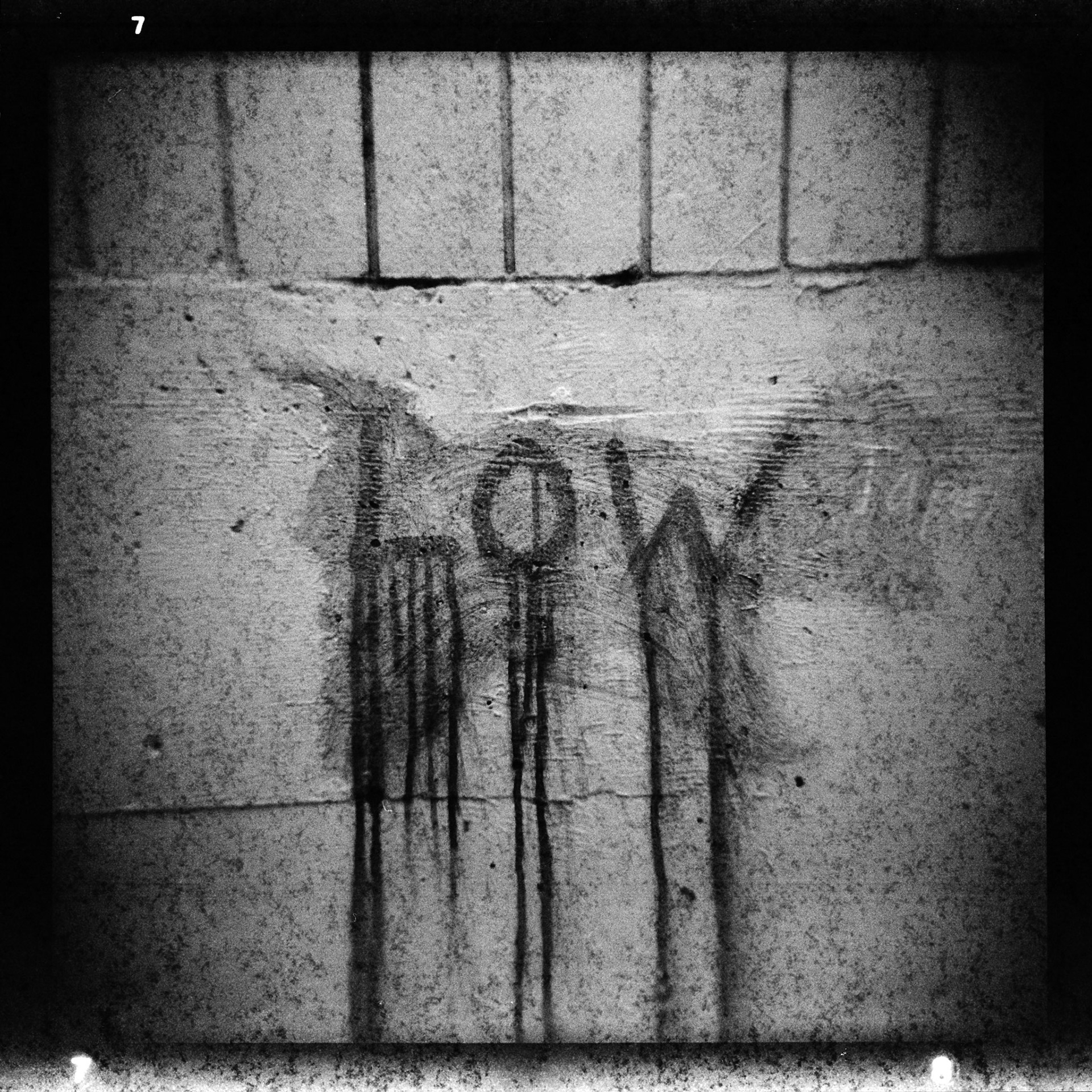 Holga  | Fomapan 400