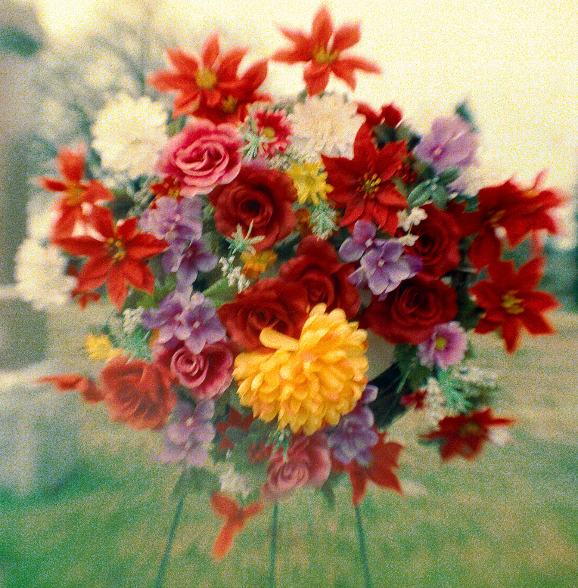 Kodak Brownie | Cinestill 800T