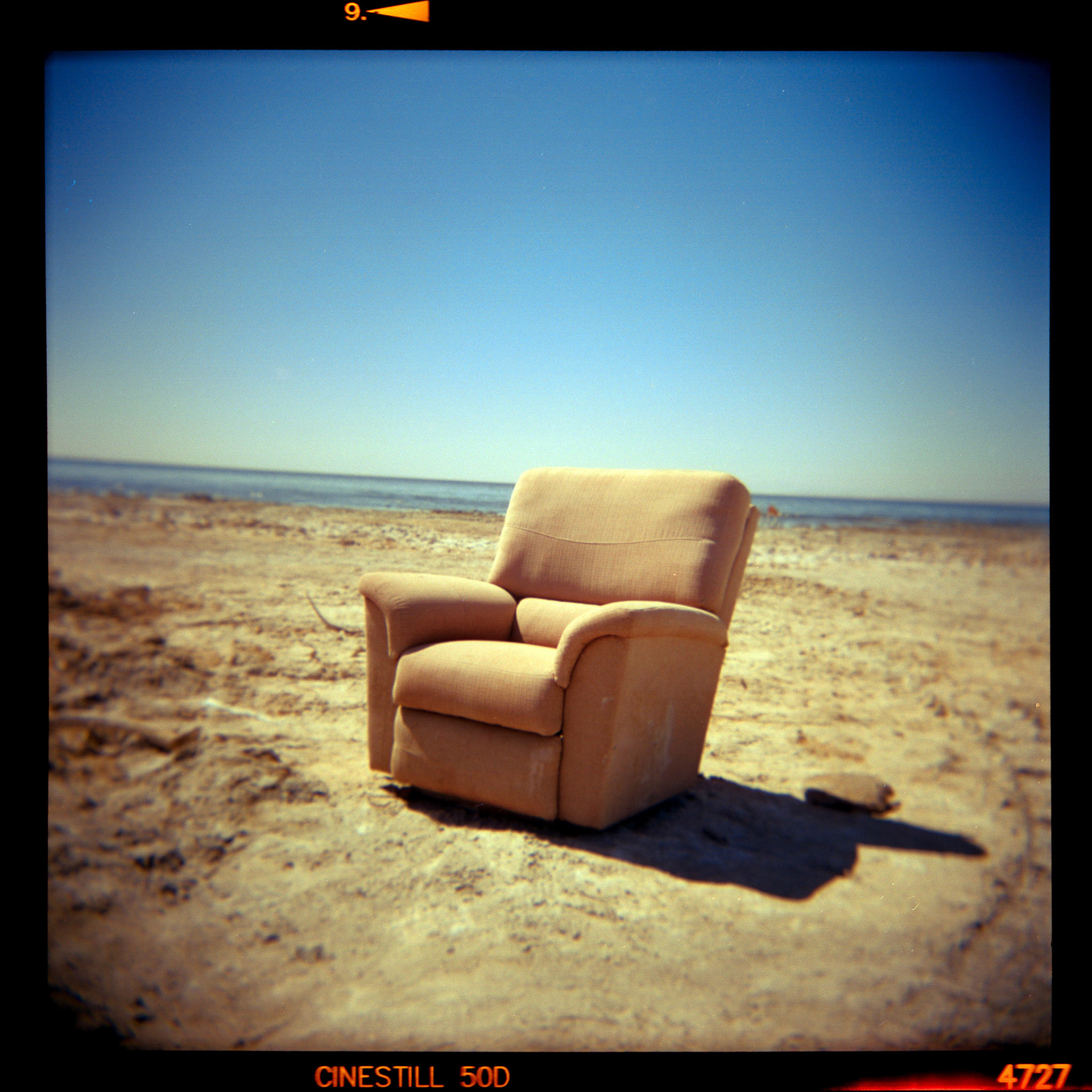Holga  | Cinestill 50D