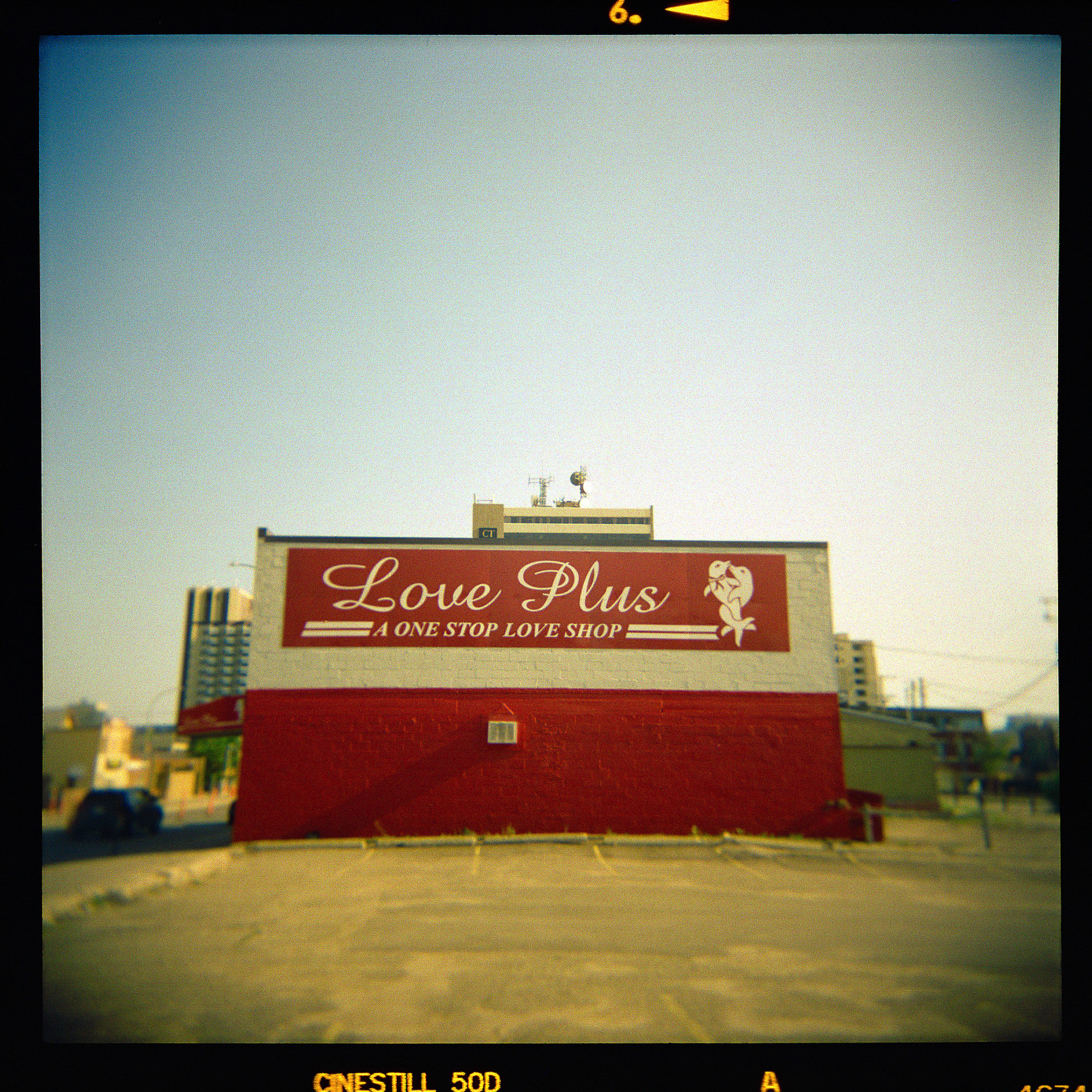 Holga  | Cinestill 50D 