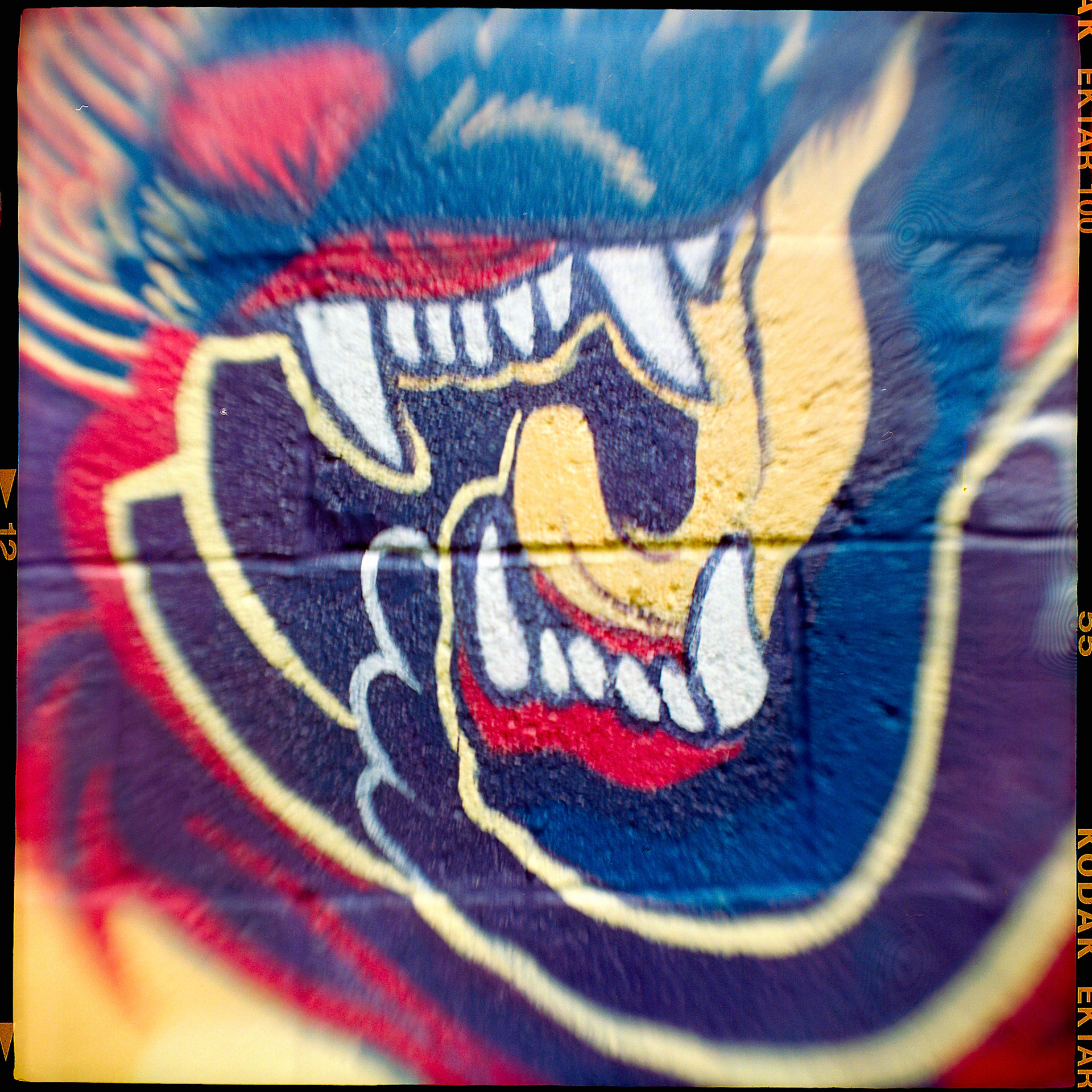 Kodak Brownie | Ektar 100