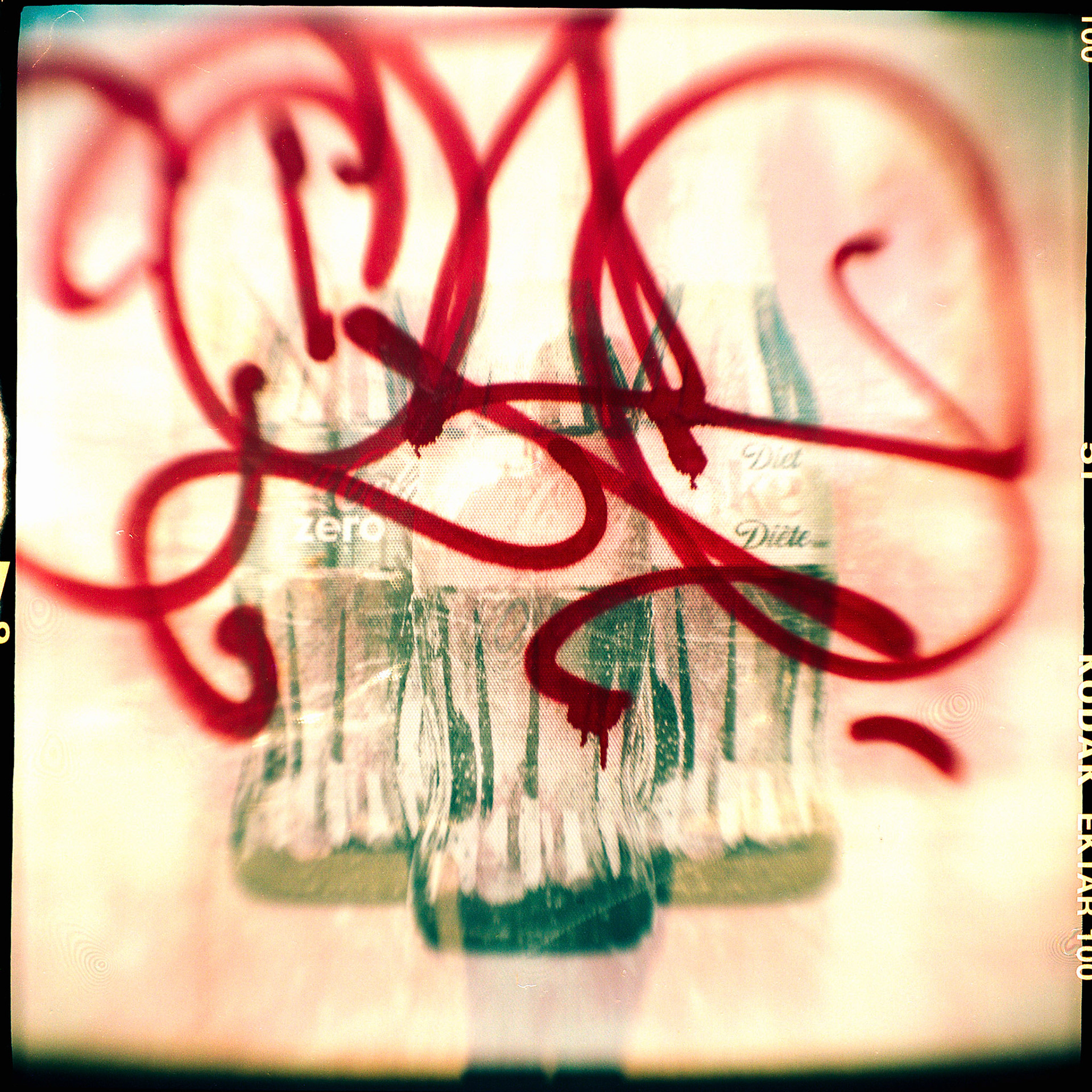 Kodak Brownie | Ektar 100