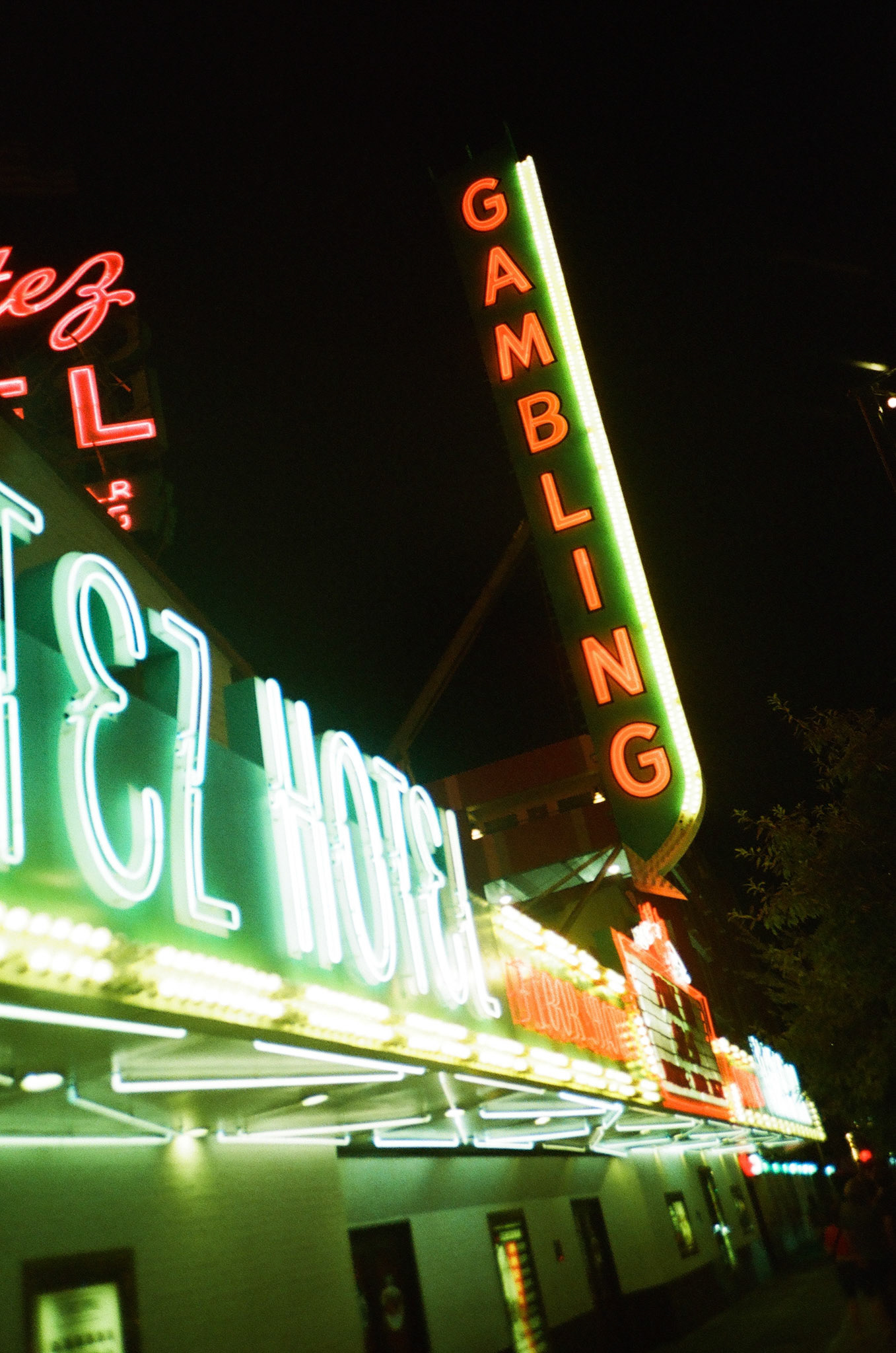 Canon AE1 | Cinestill 800T