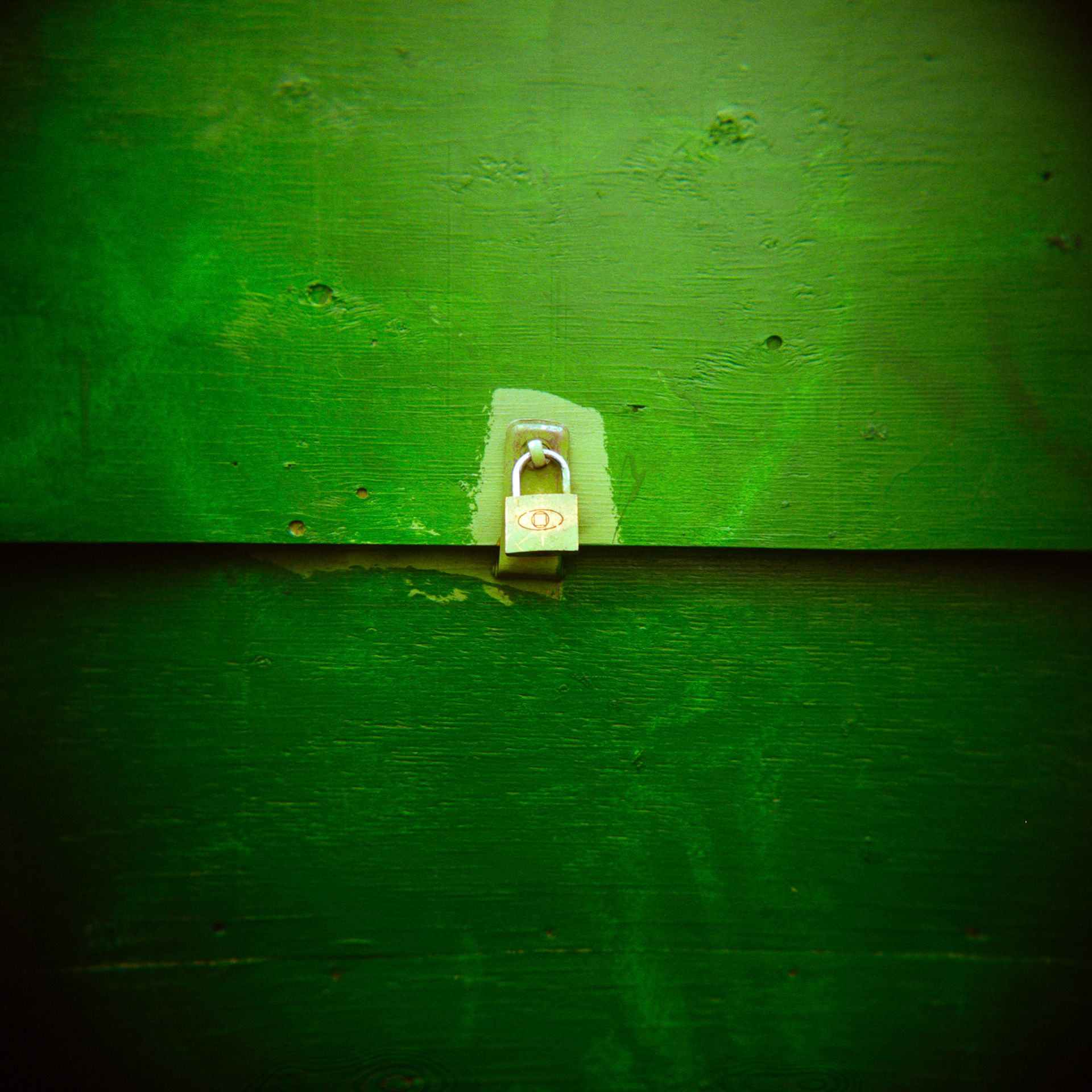 Holga  | Kodak Gold 200