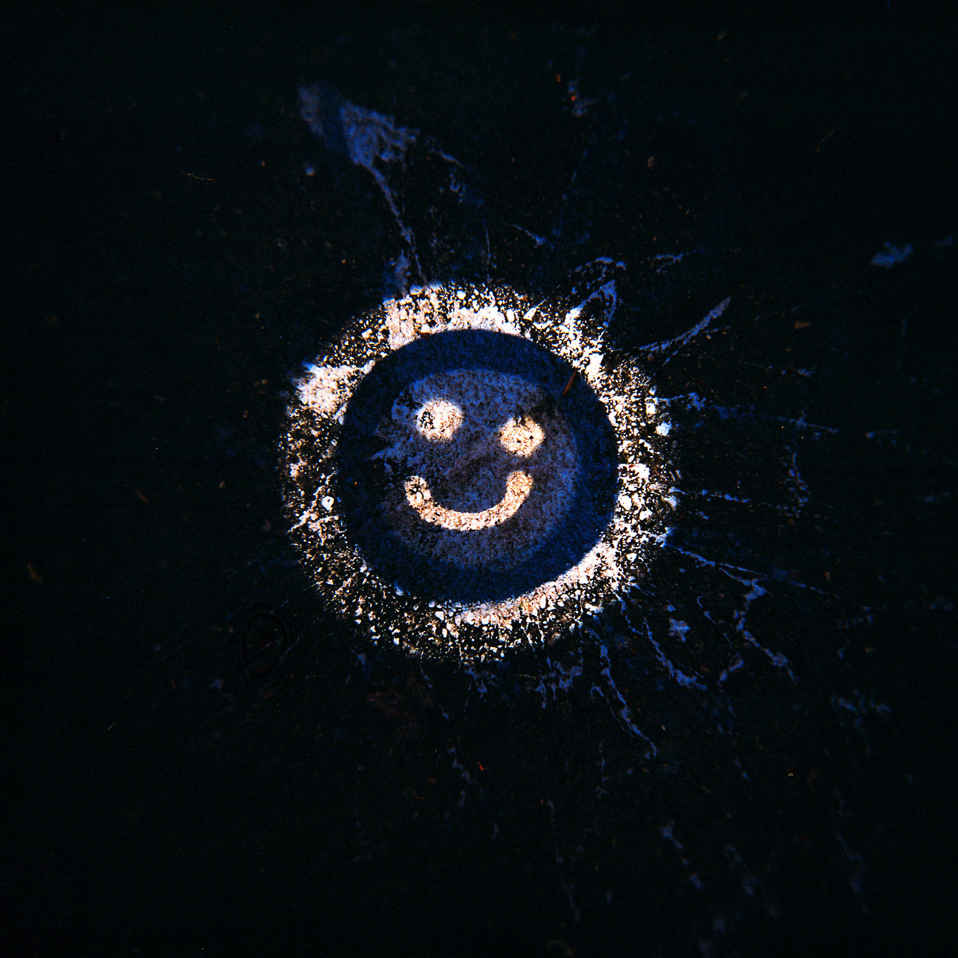 Holga  | Kodak Gold 200