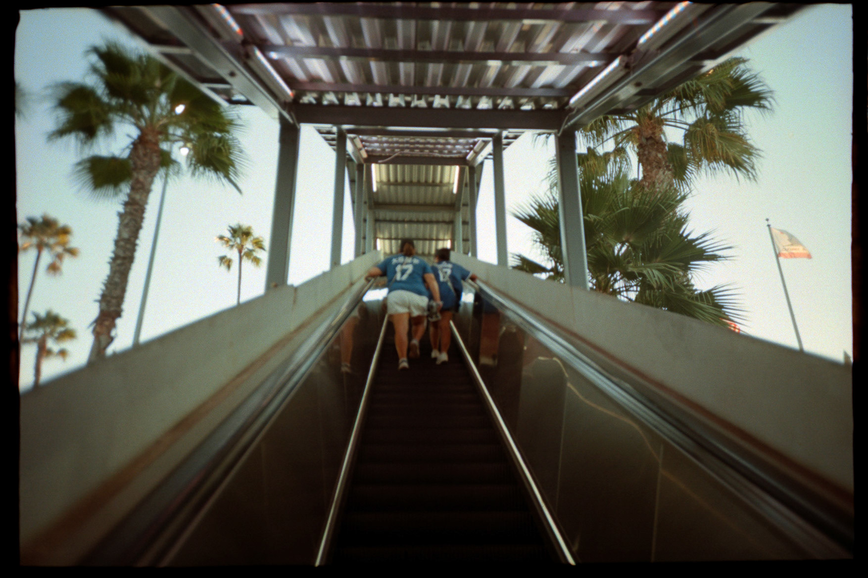 Canon AE1 | Flic Film Electra 100