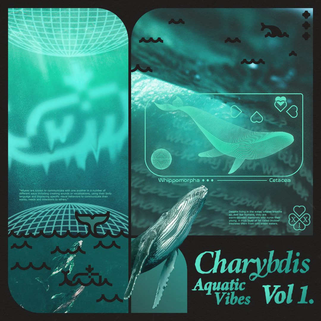 Fictional Album Cover