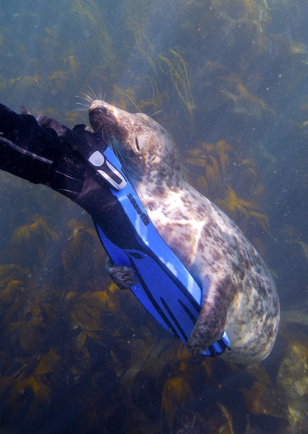  Shortlist in Travel Photographer of the Year