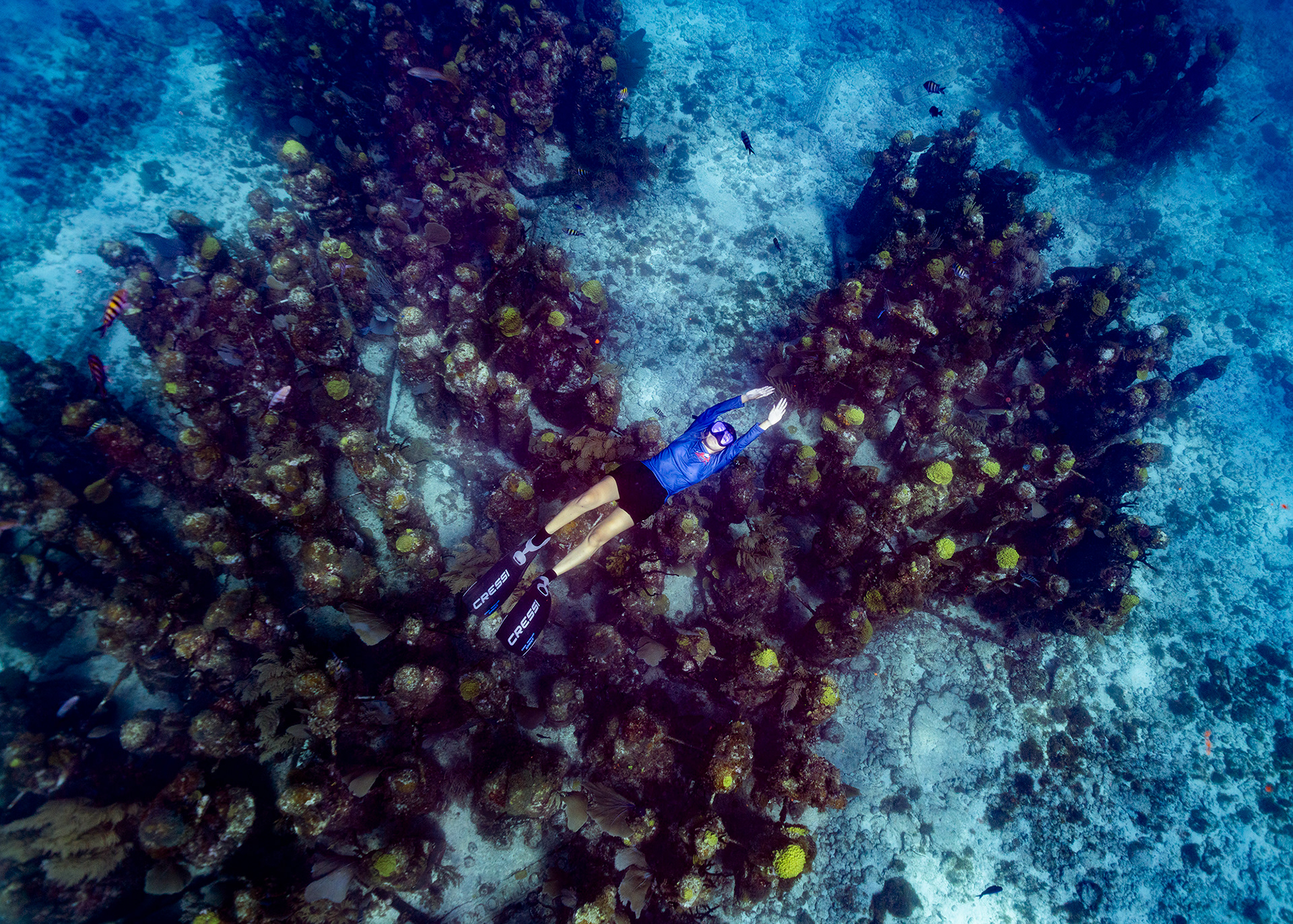 Yami Ortiz swims over the underwater sculpture park MUSA in Mexico
