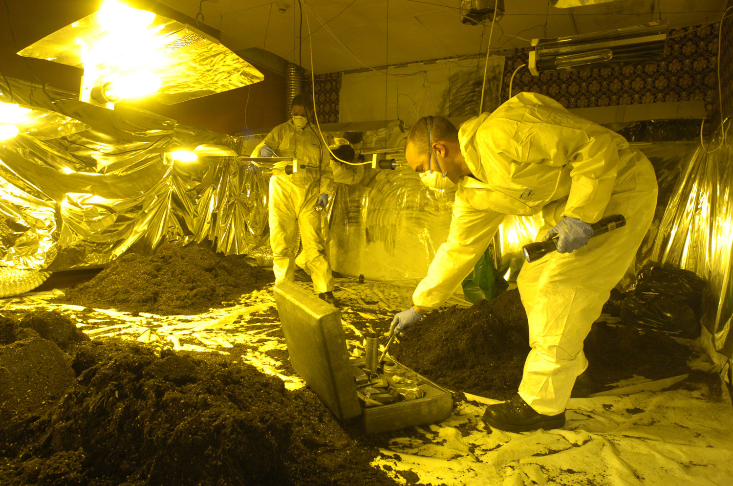 Police raid a Cannabis factory in Bradford. T&A