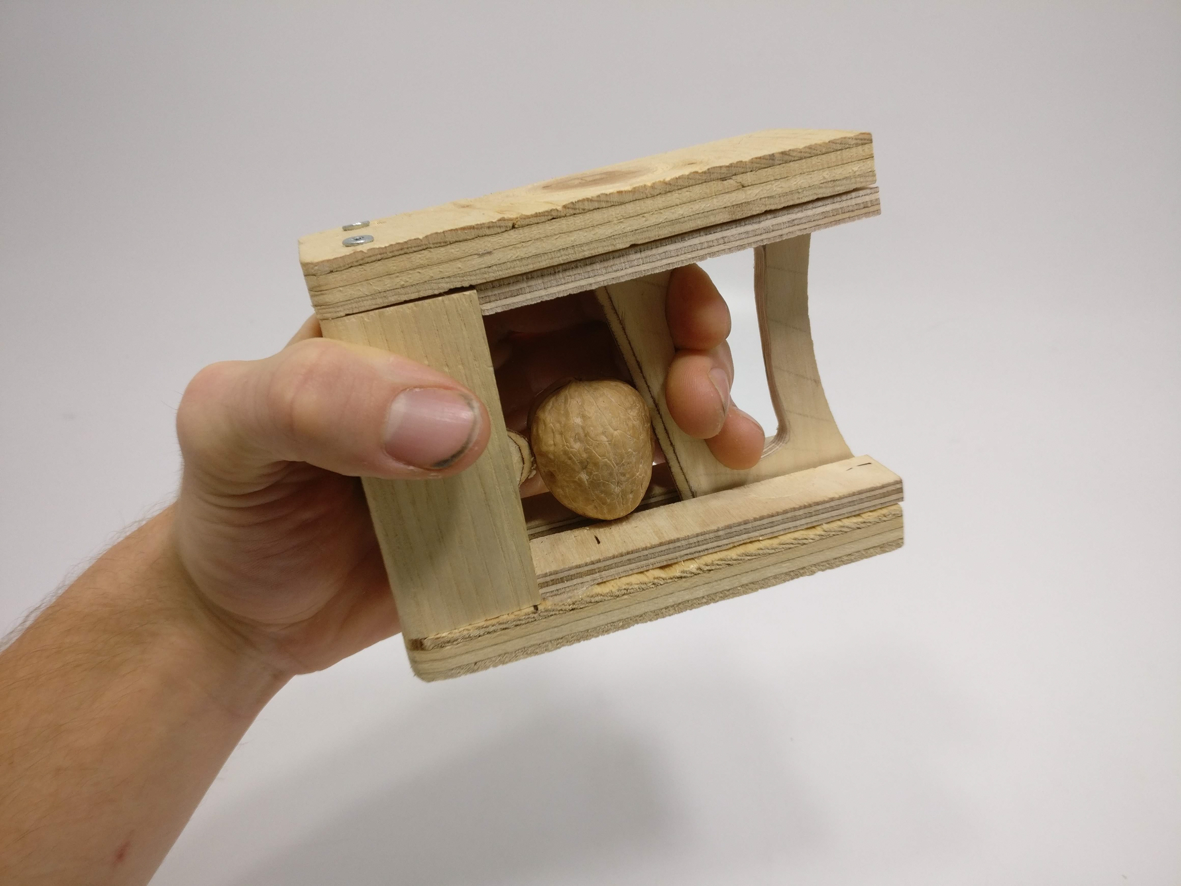 Functioning model in a hand