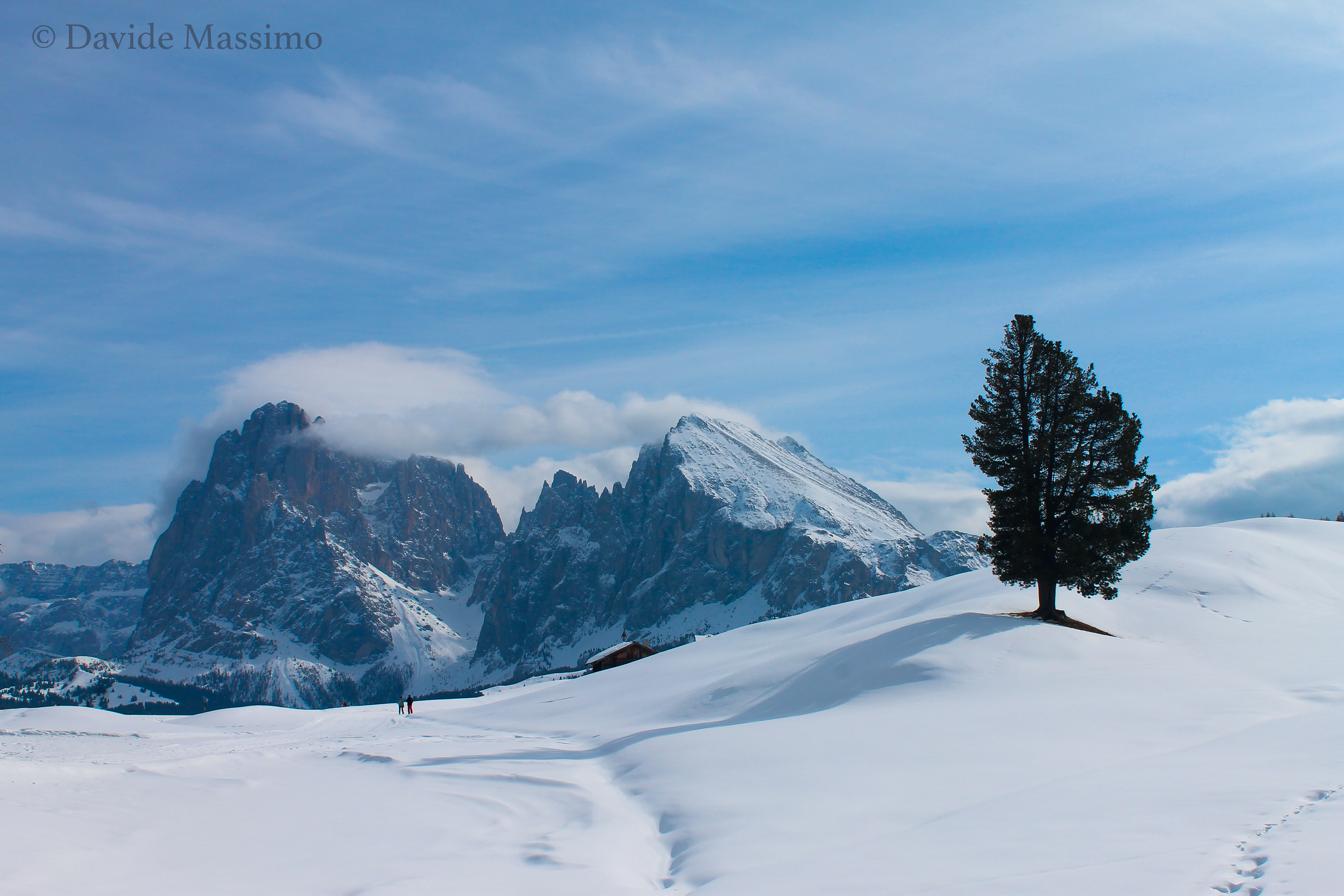 Alps