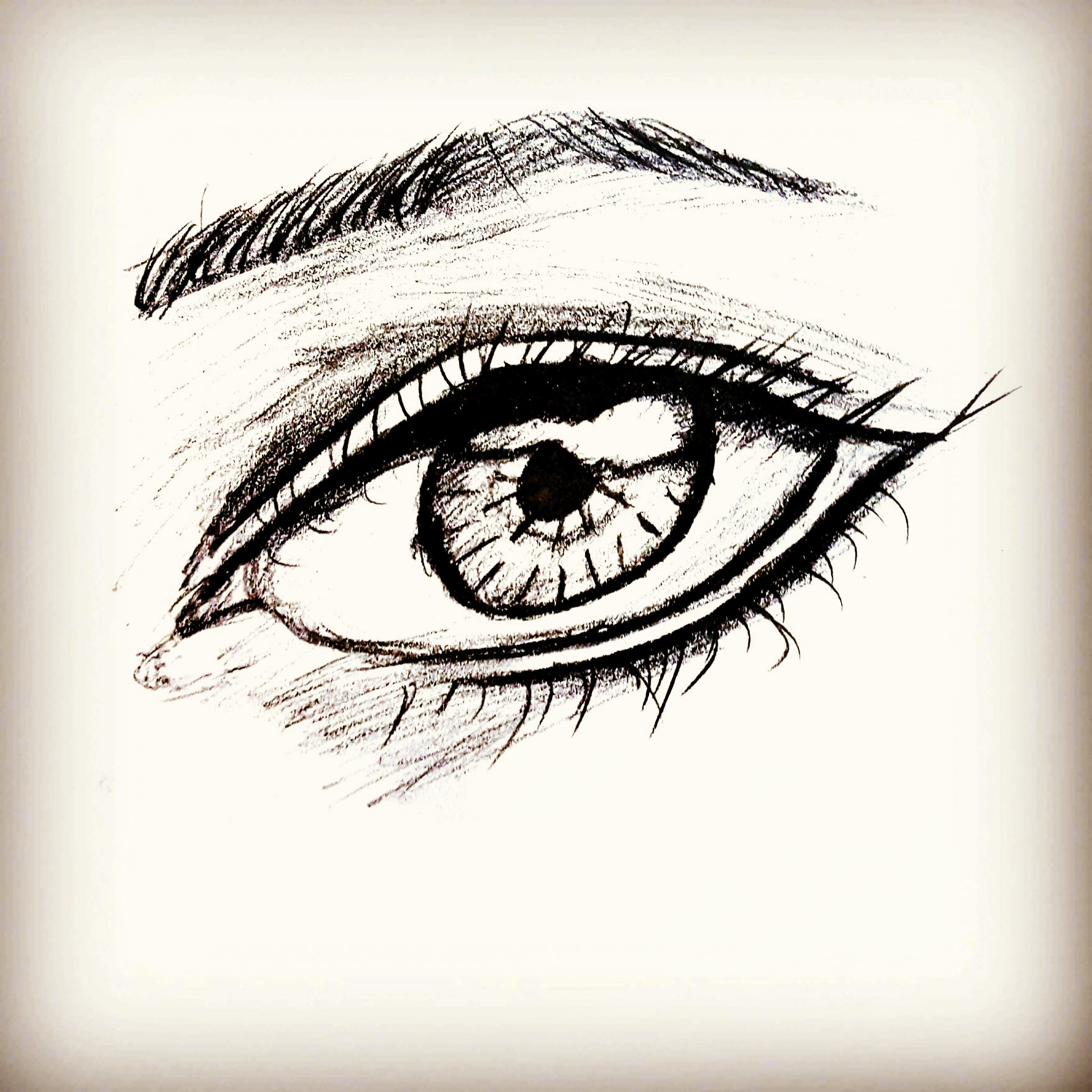 Eye Sketch