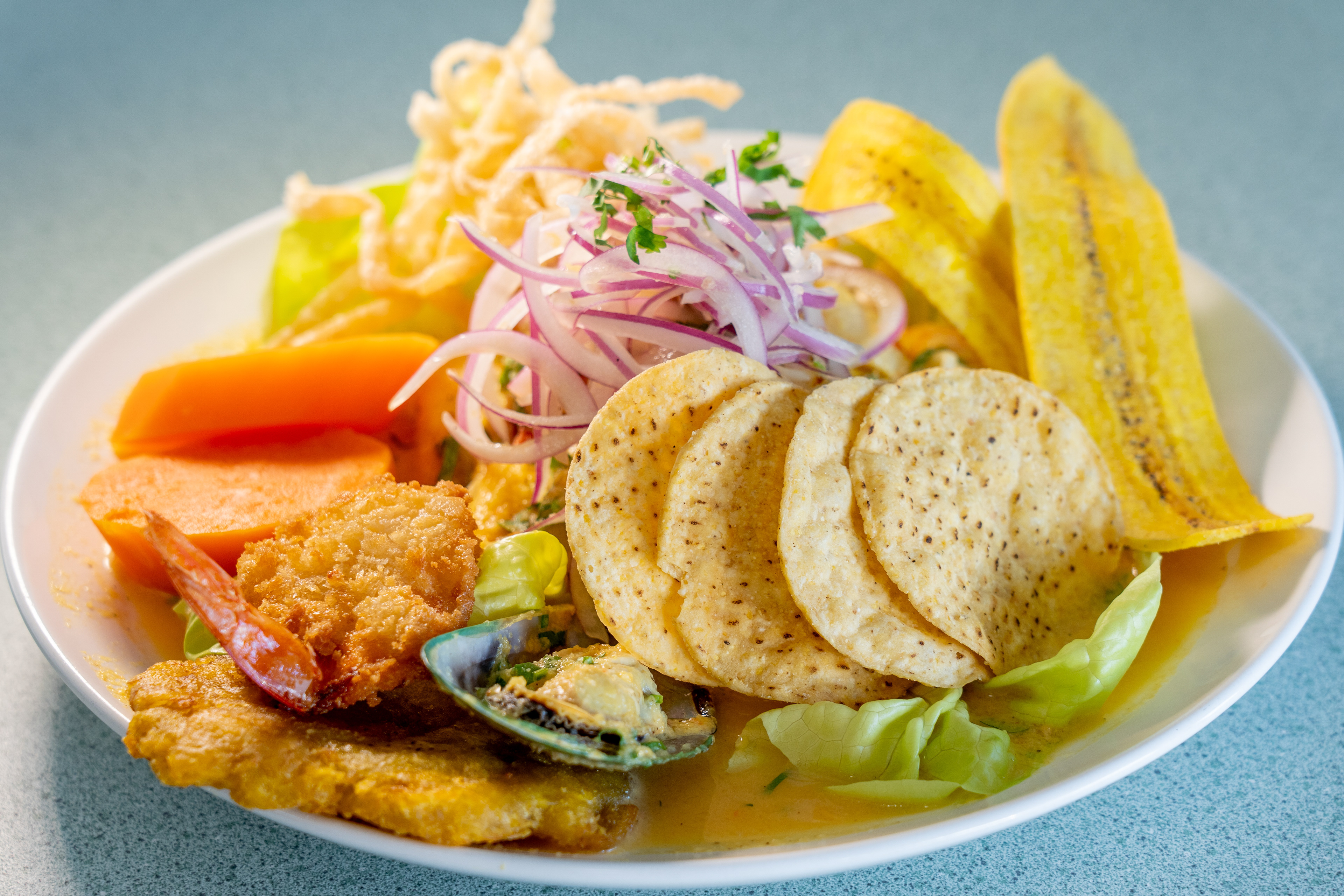 Ceviche from Andes Peruvian Cuisine in Phoenix on Nov. 18, 2020. (Photo by Samantha Chow/PHOENIX Magazine)