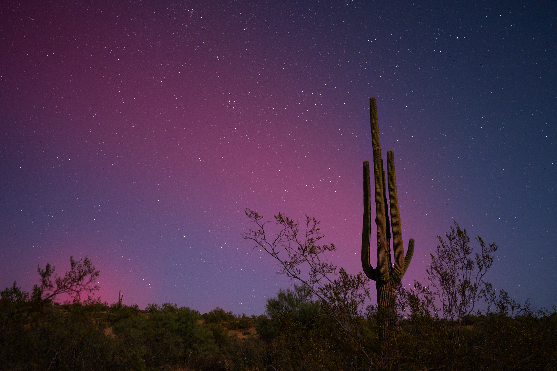 The aurora borealis is seen near Saguaro Lake in Arizona on Oct. 10, 2024. (Photo by Samantha Chow)
