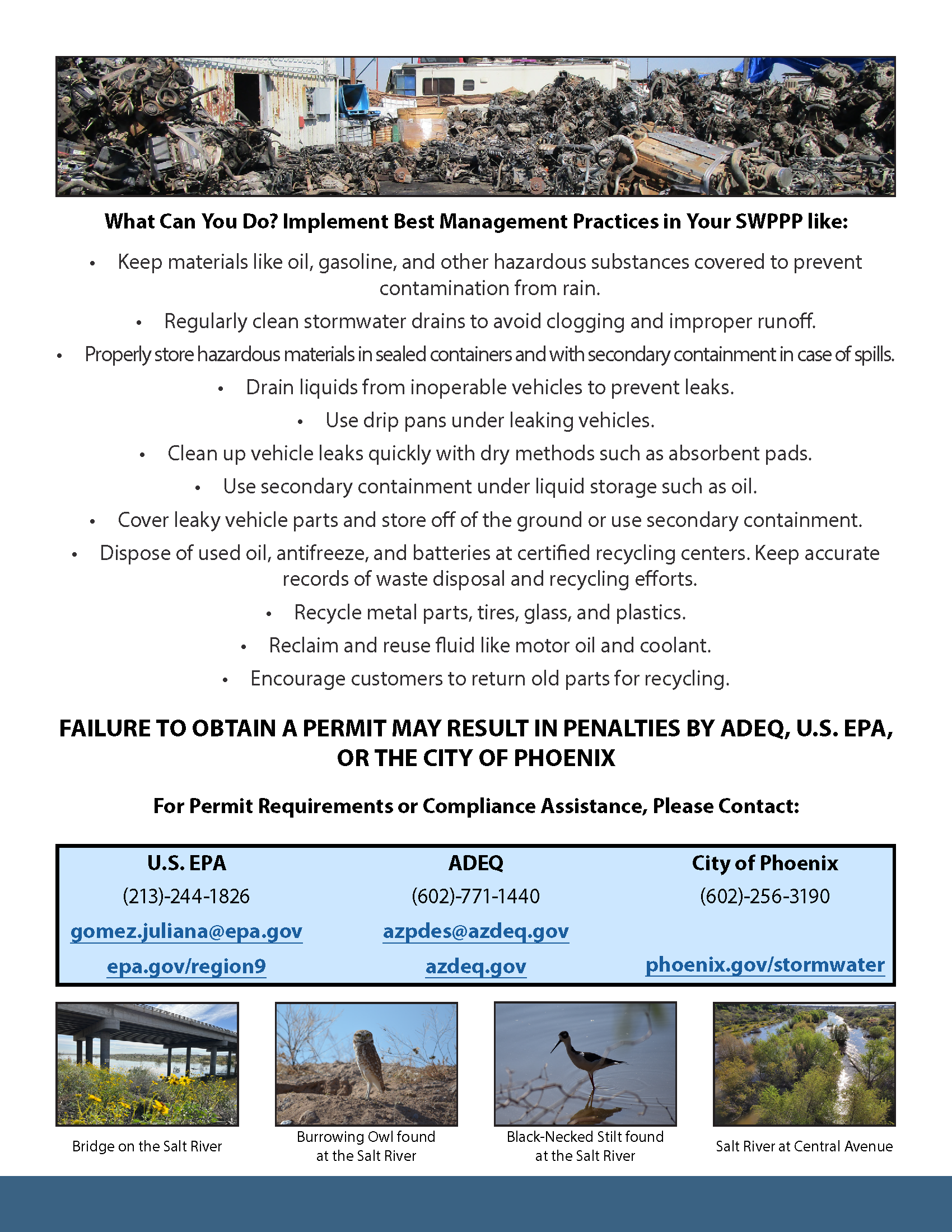 Stormwater Management Outreach Flyer - English