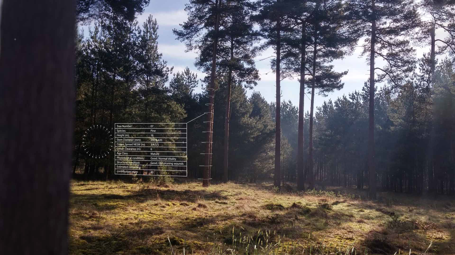 Animation of still images to create background video