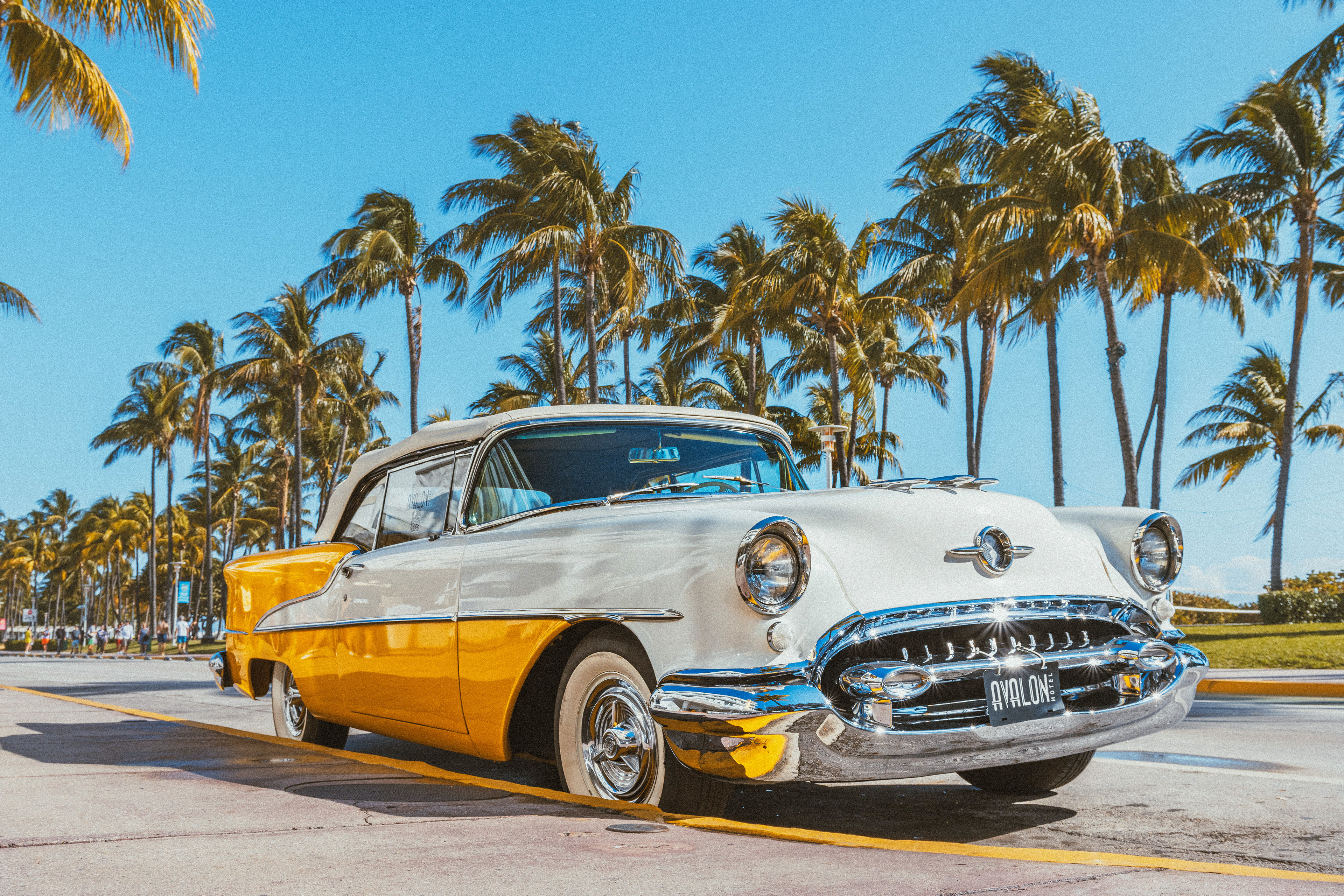 South Beach - Landscape