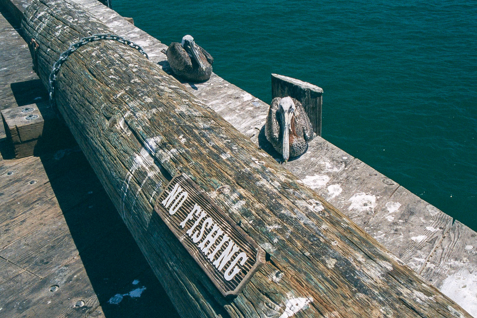 No Fishing