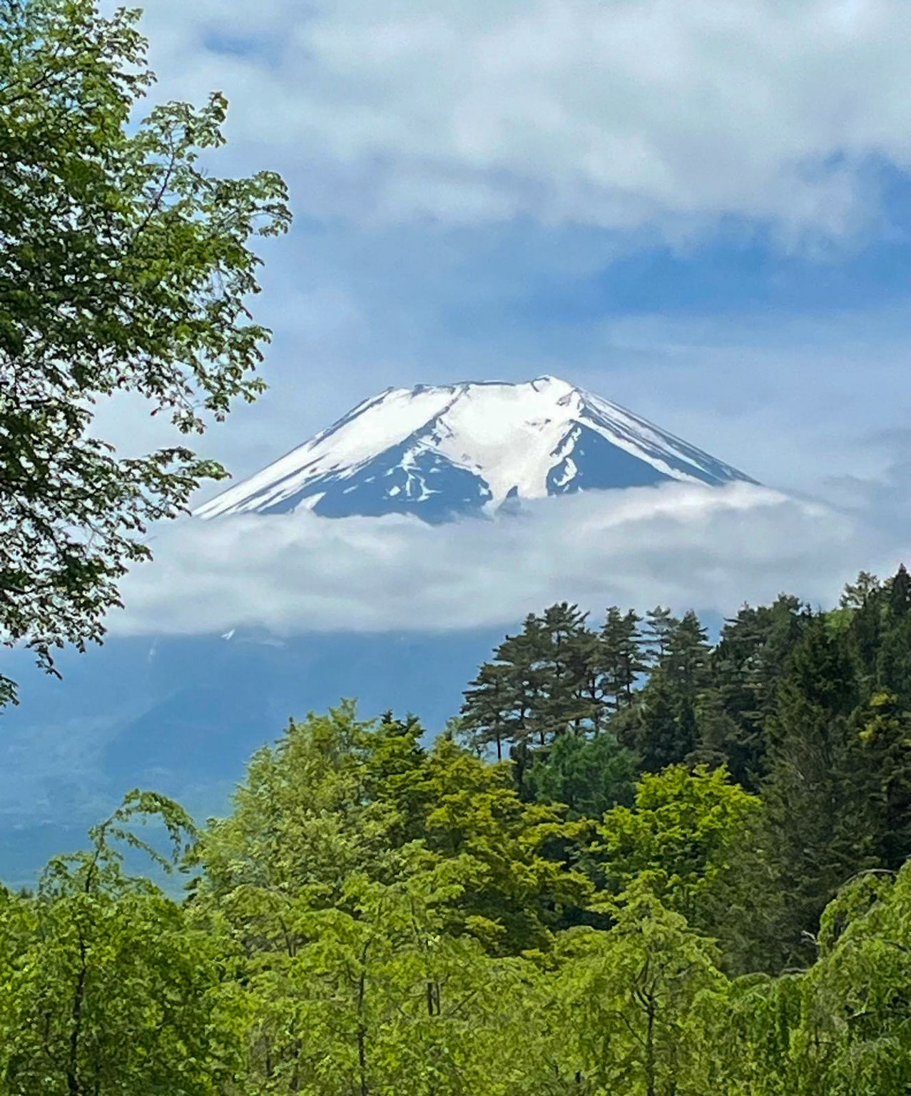 Mount Fujjo from Shinobi No Sato Ninja Village