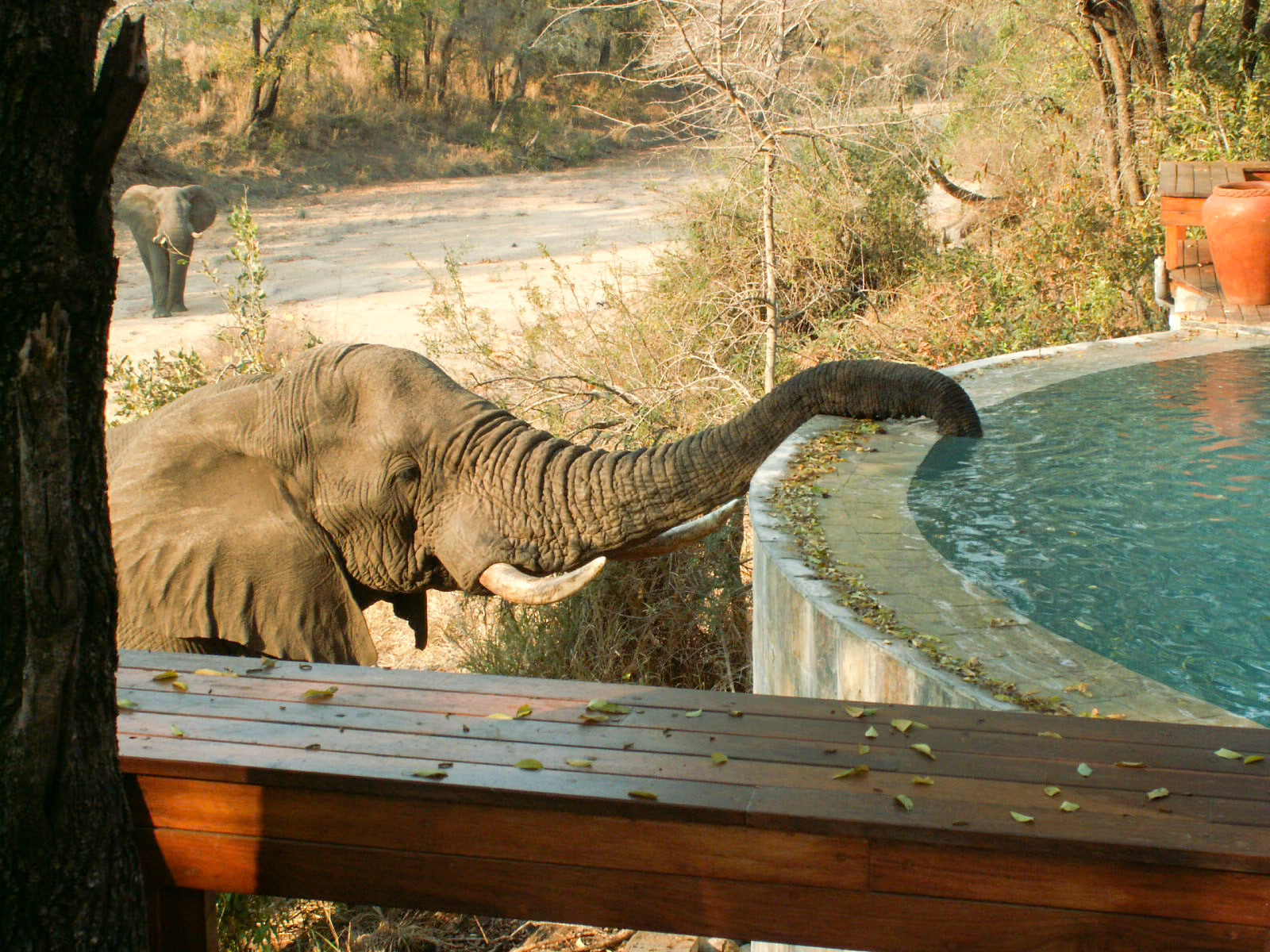 Kruger National Park