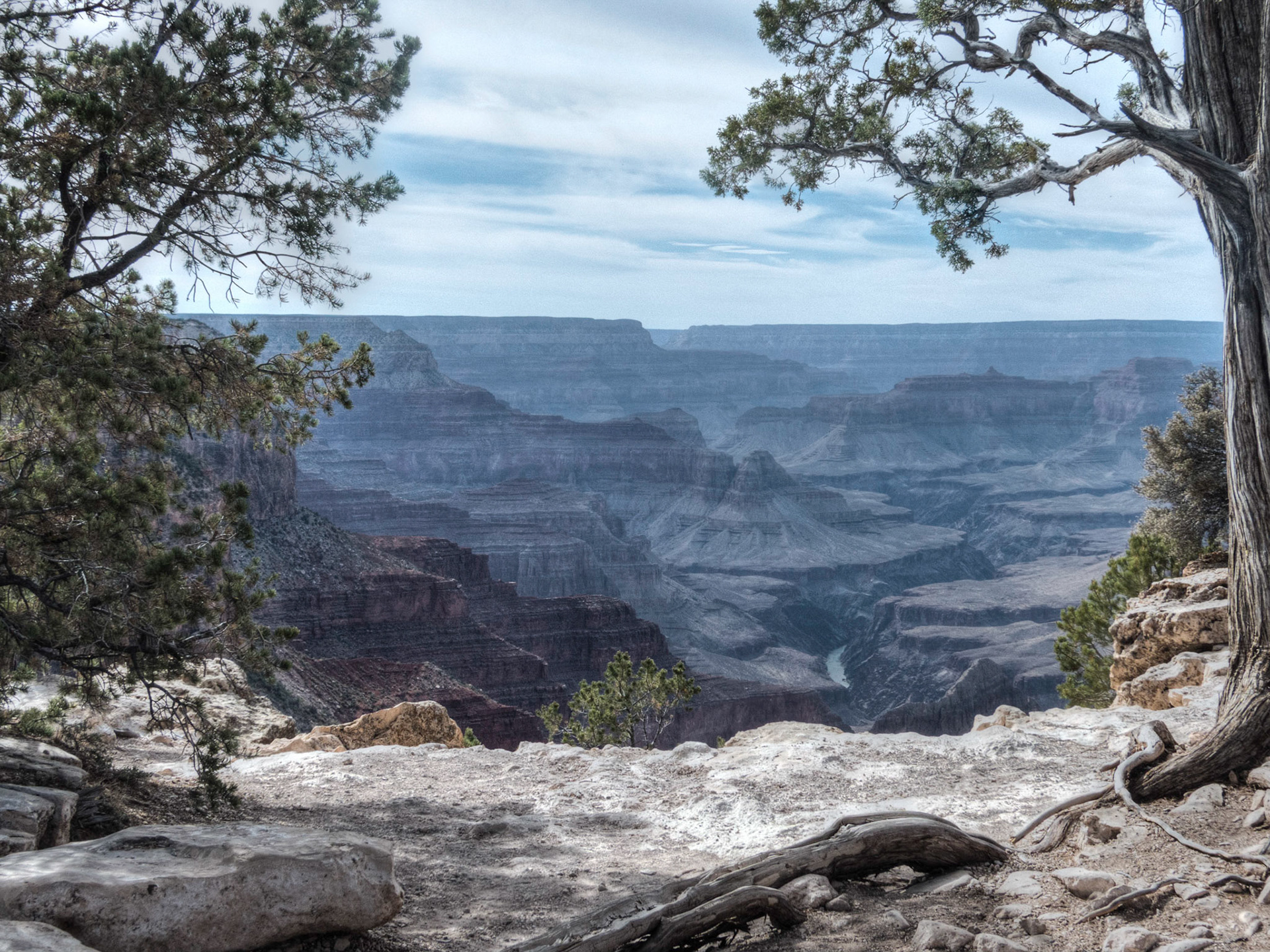 The Colorado from the Abyss Overlook - -  Grand Canyon NP