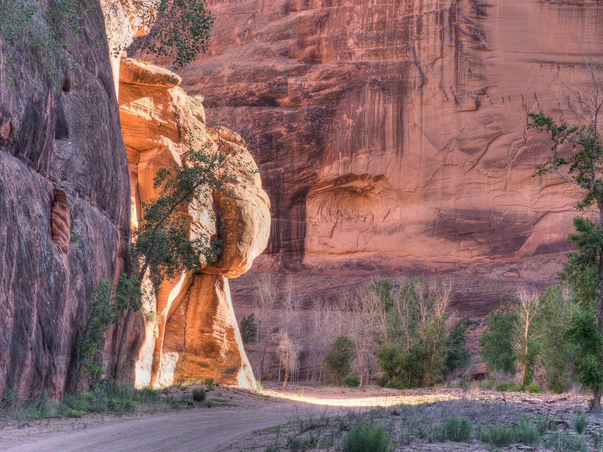 Last Rays in the Canyon de Chelley