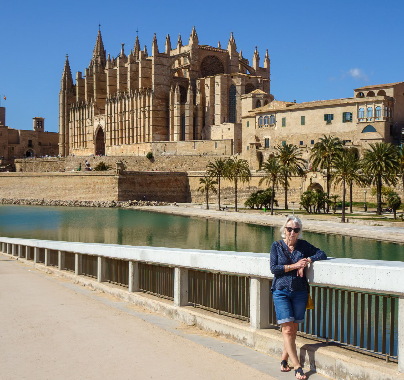 Palma Cathedral View