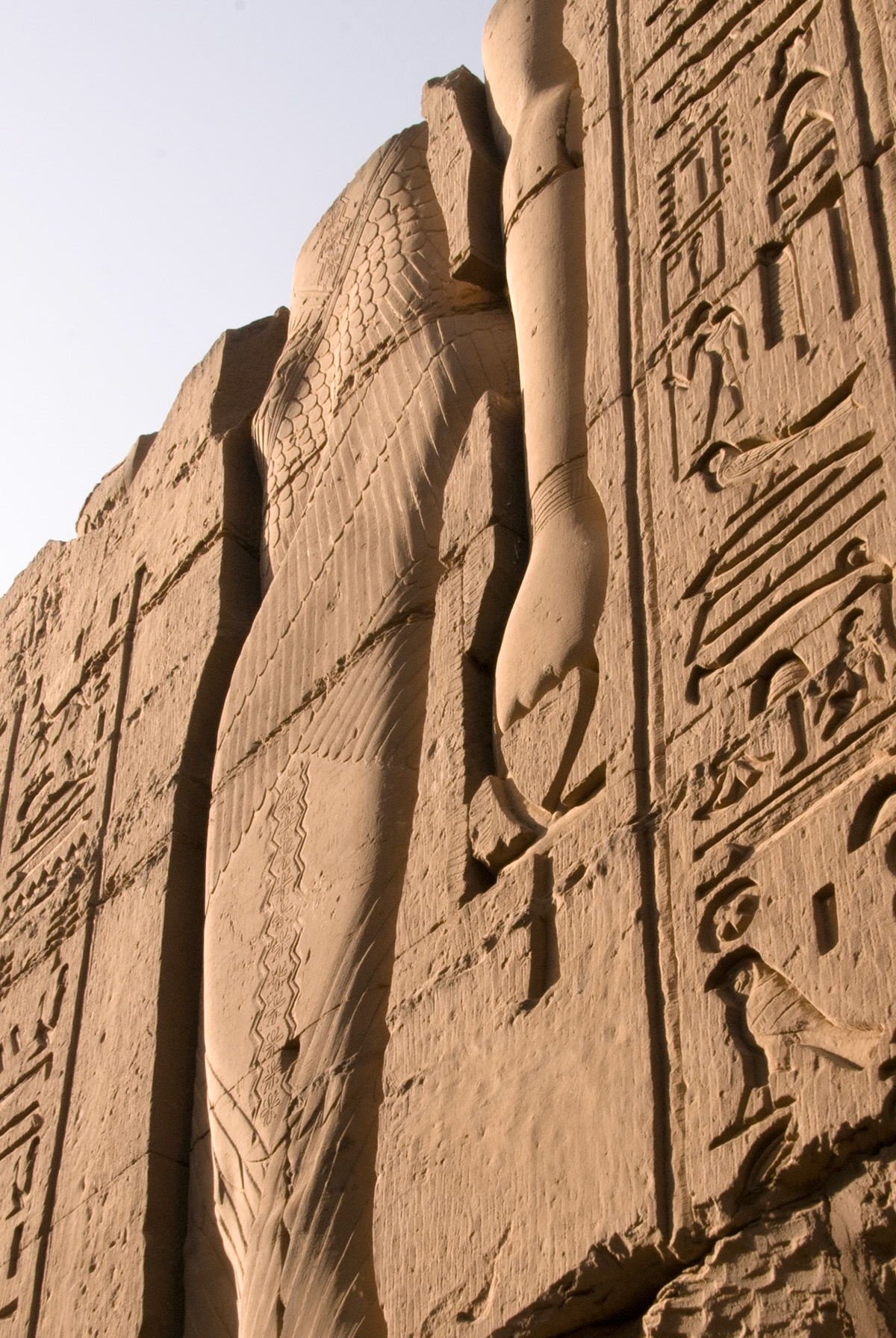 A massive embossed carving at Kom Ombo