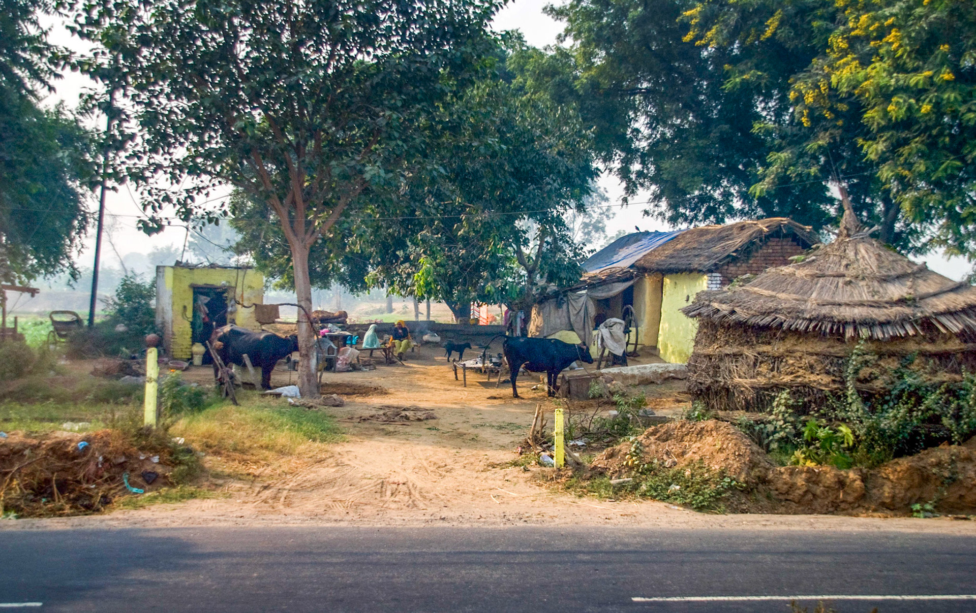 Smallholding on the road from Delhi to Agra