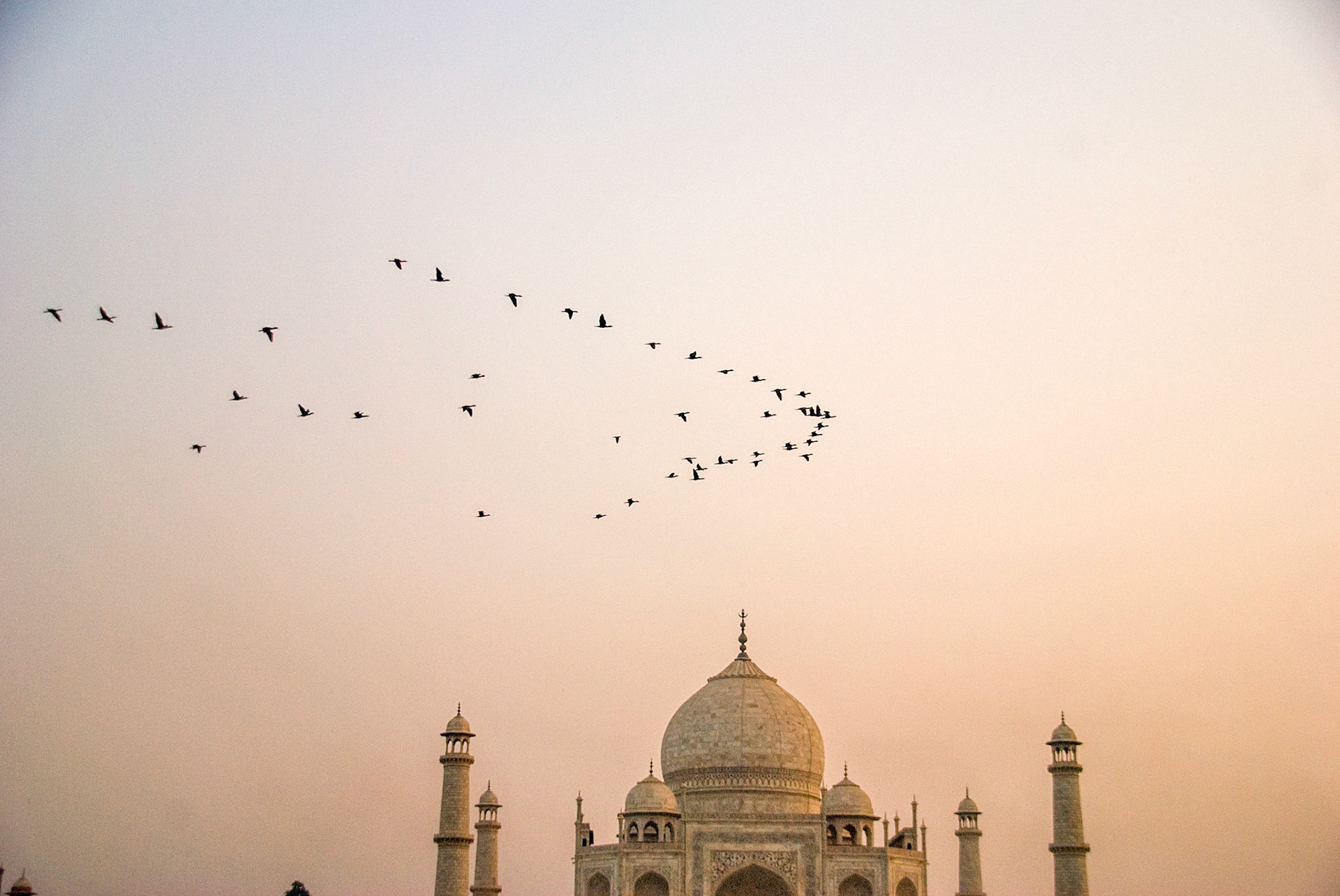 Taj Mahal at Sunset