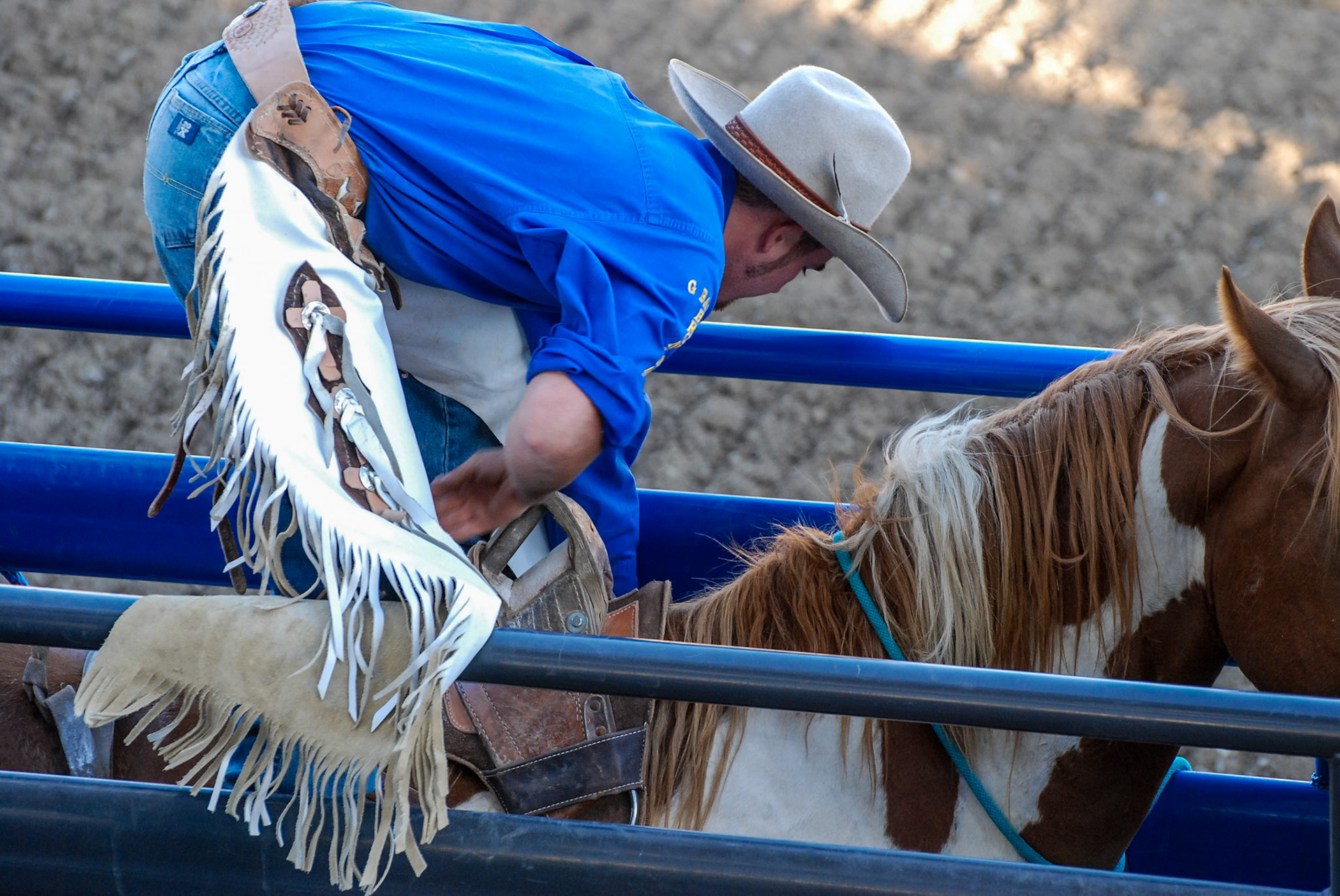 Rodeo