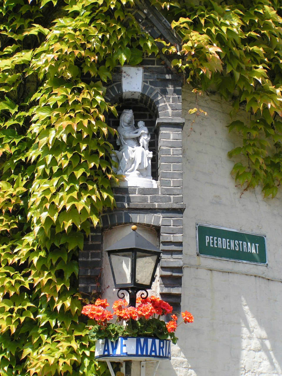 MINOLTA DIGITAL CAMERA