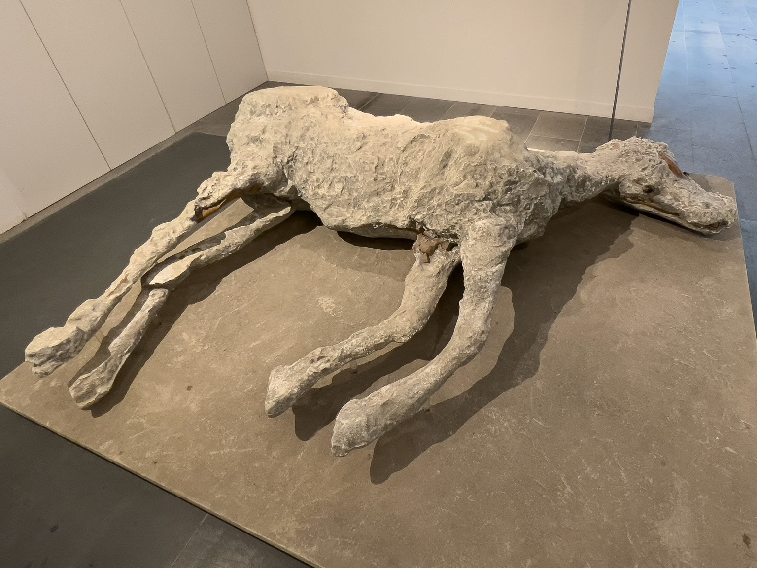 Plaster cast of a victim - Pompeii