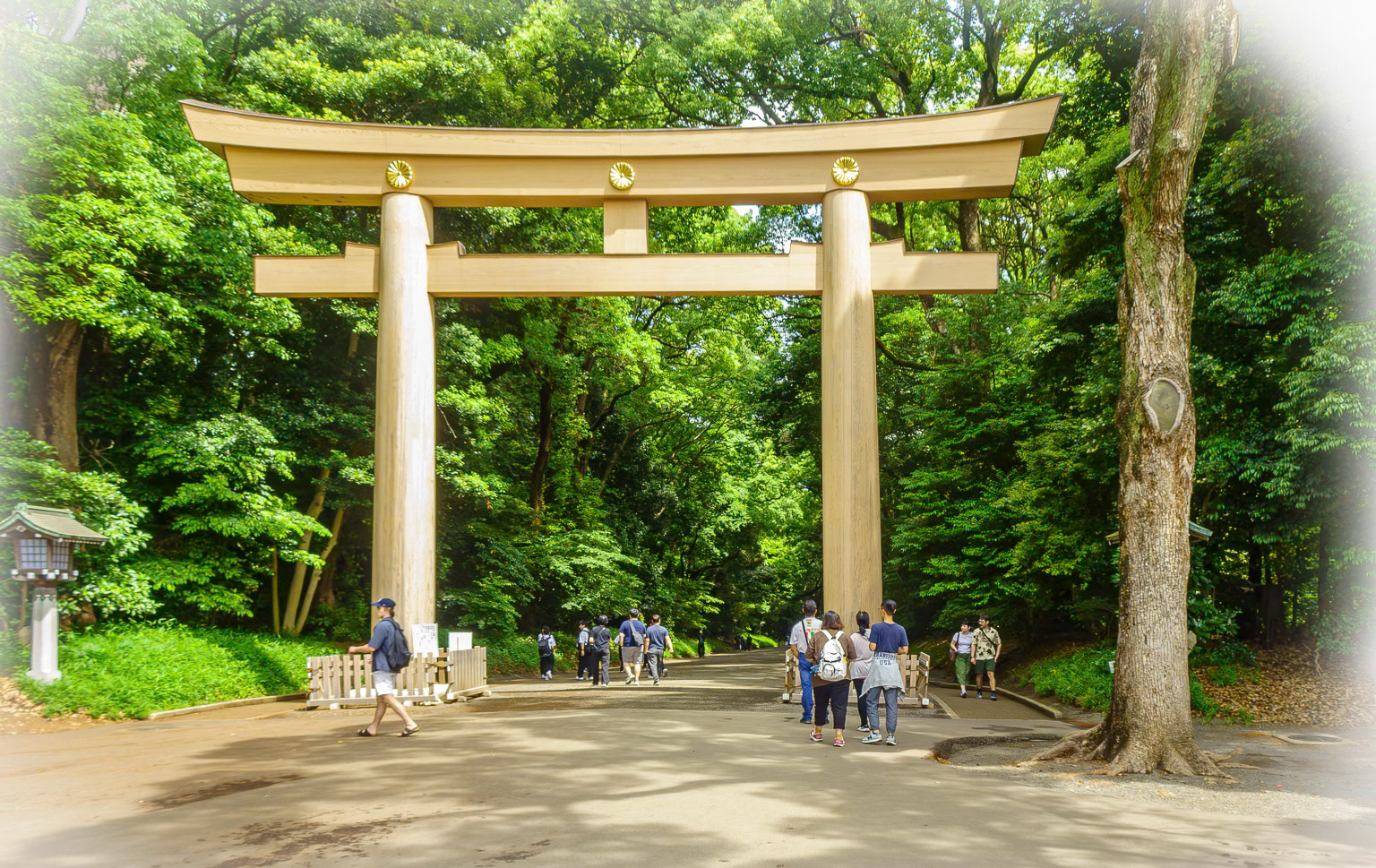 Tokyo - Otorii (The Grand Shrine Gate)