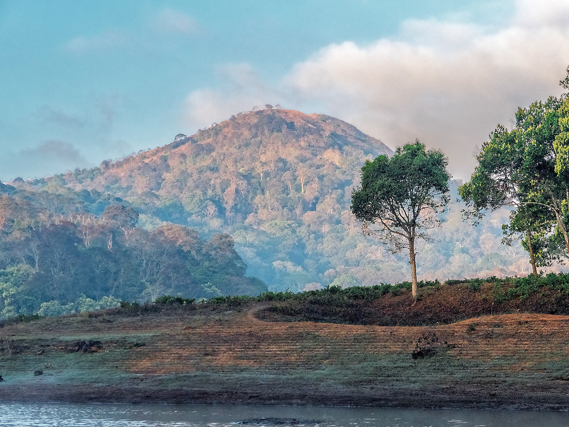 Periyar National Park