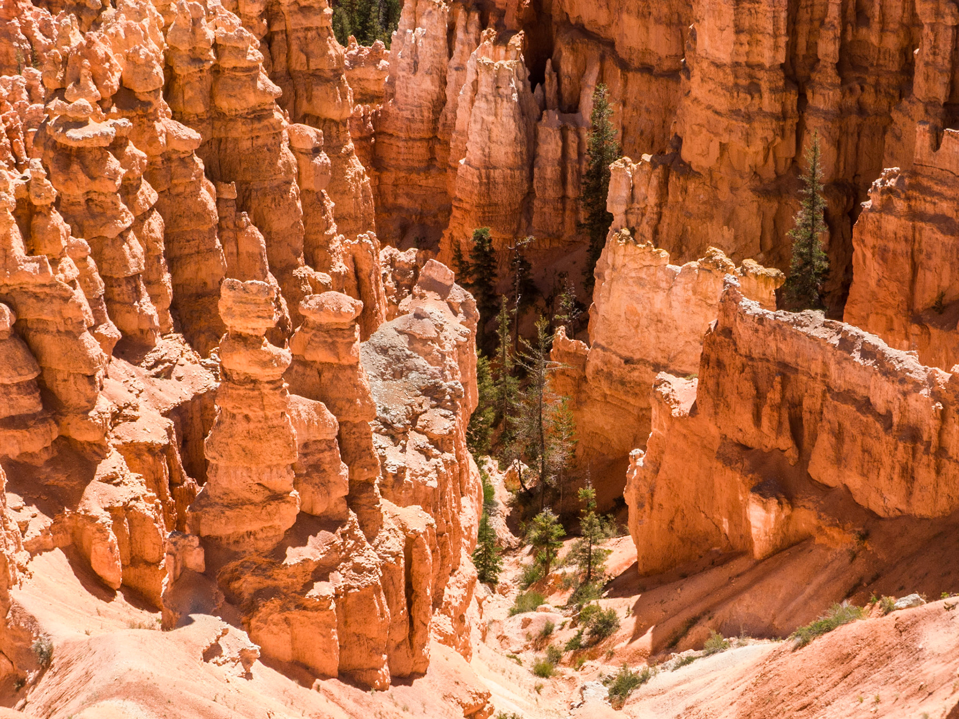 - Bryce Canyon NP