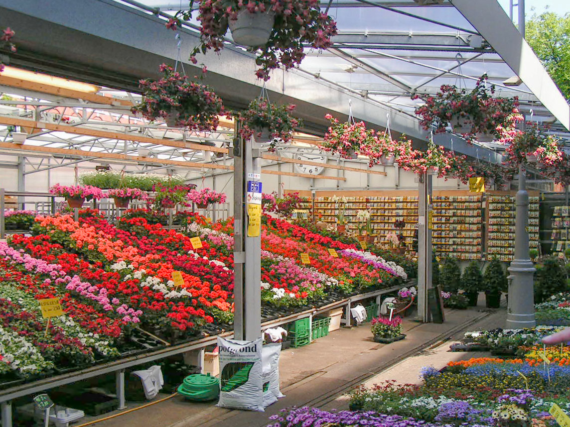 MINOLTA DIGITAL CAMERA